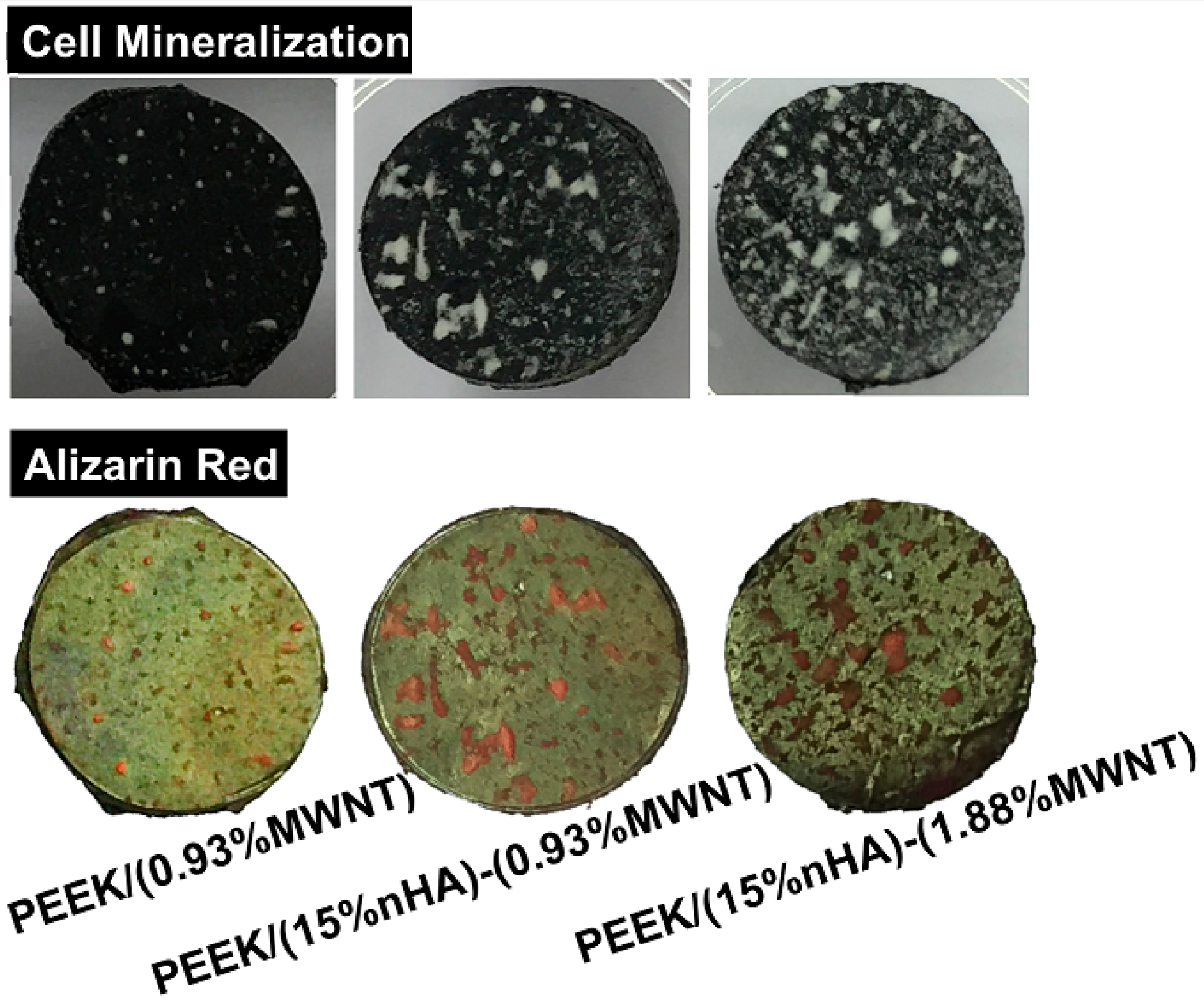 Polymers 08 00425 g015