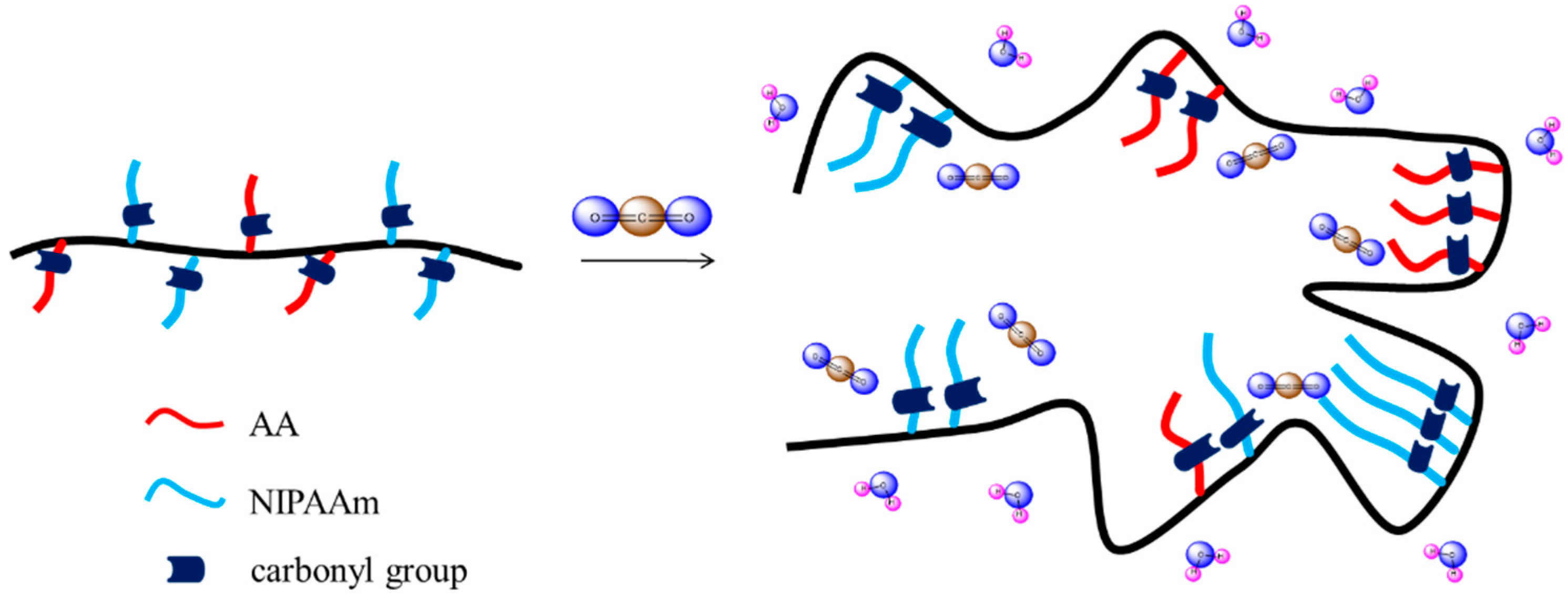 Polymers 08 00434 sch005