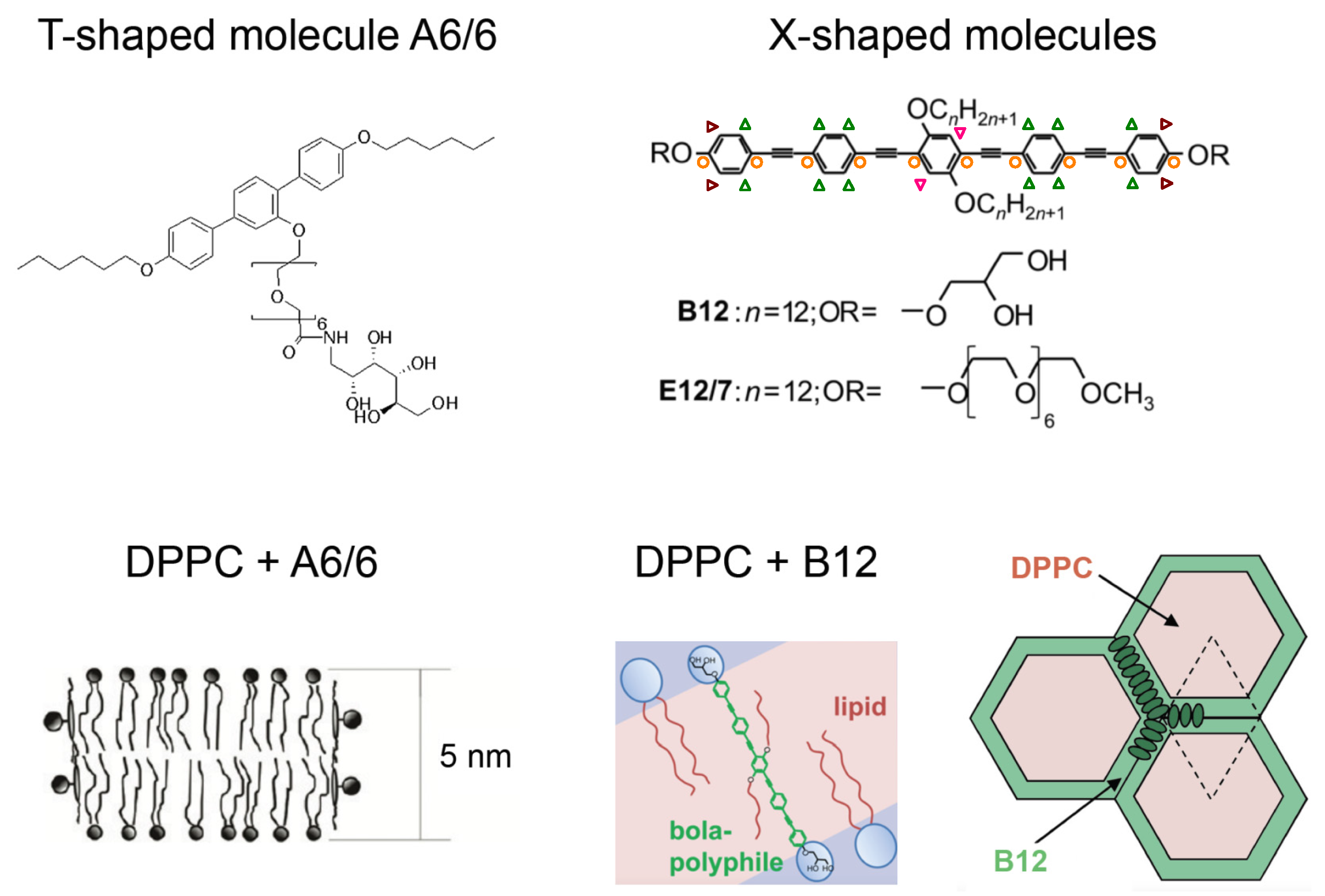 Polymers 08 00439 g002