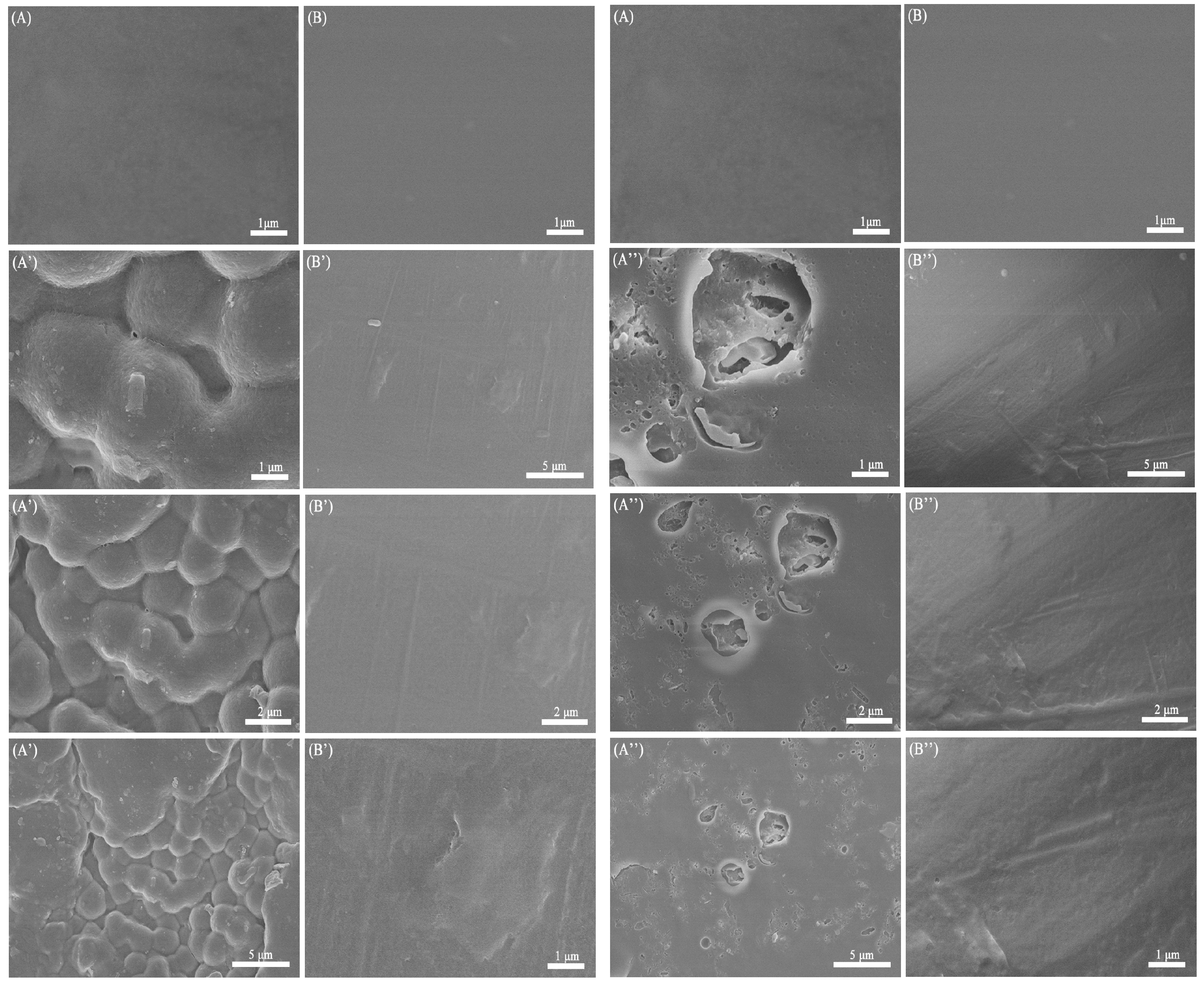 Polymers 08 00441 g005