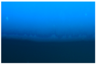 Polymers 09 00009 i007