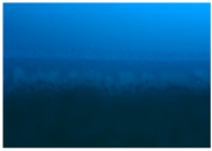 Polymers 09 00009 i010