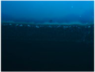 Polymers 09 00009 i015