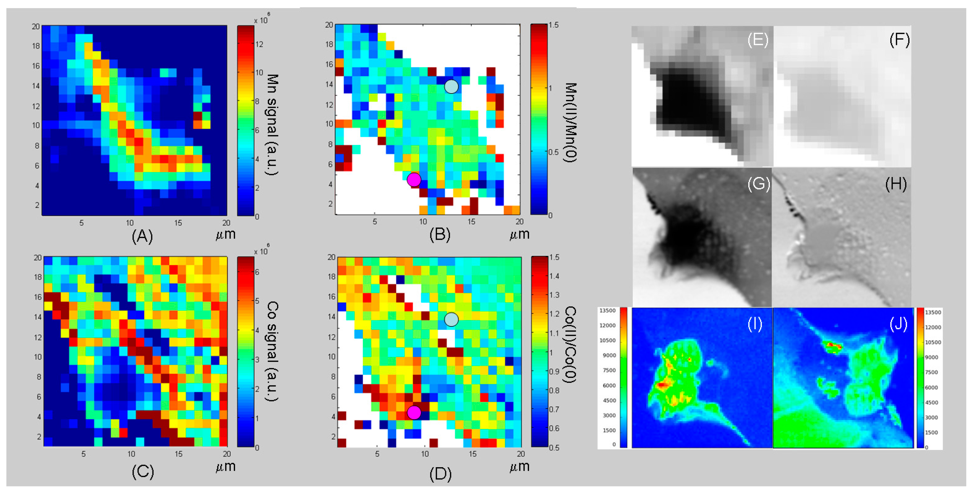 Polymers 09 00017 g010