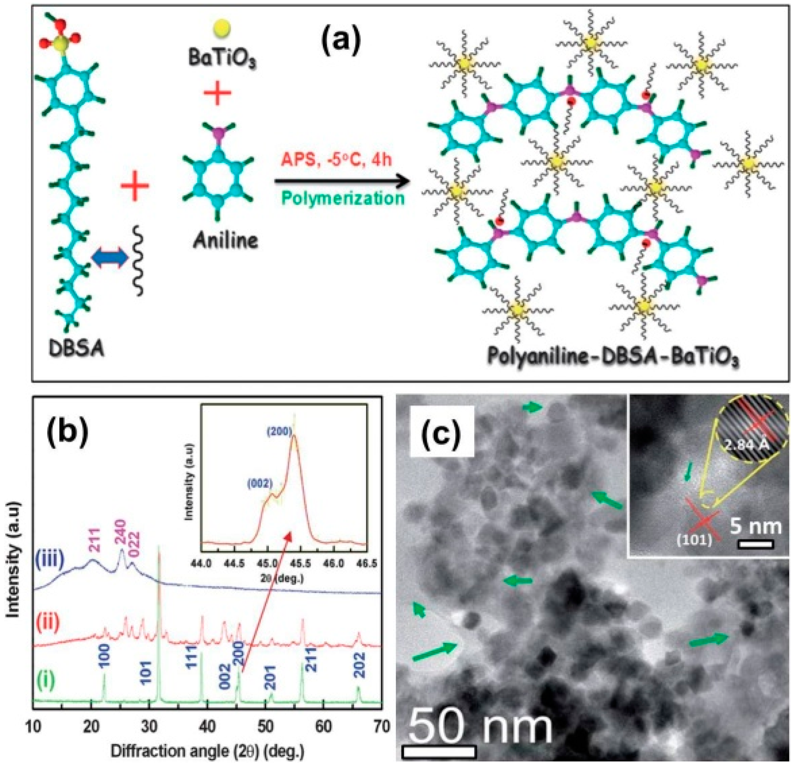 Polymers 09 00029 g010