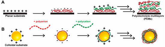 RETEN Engineering Cell Surfaces with Polyelectrolyte Materials for ... Engineering Cell Surfaces with Polyelectrolyte Materials for ...  