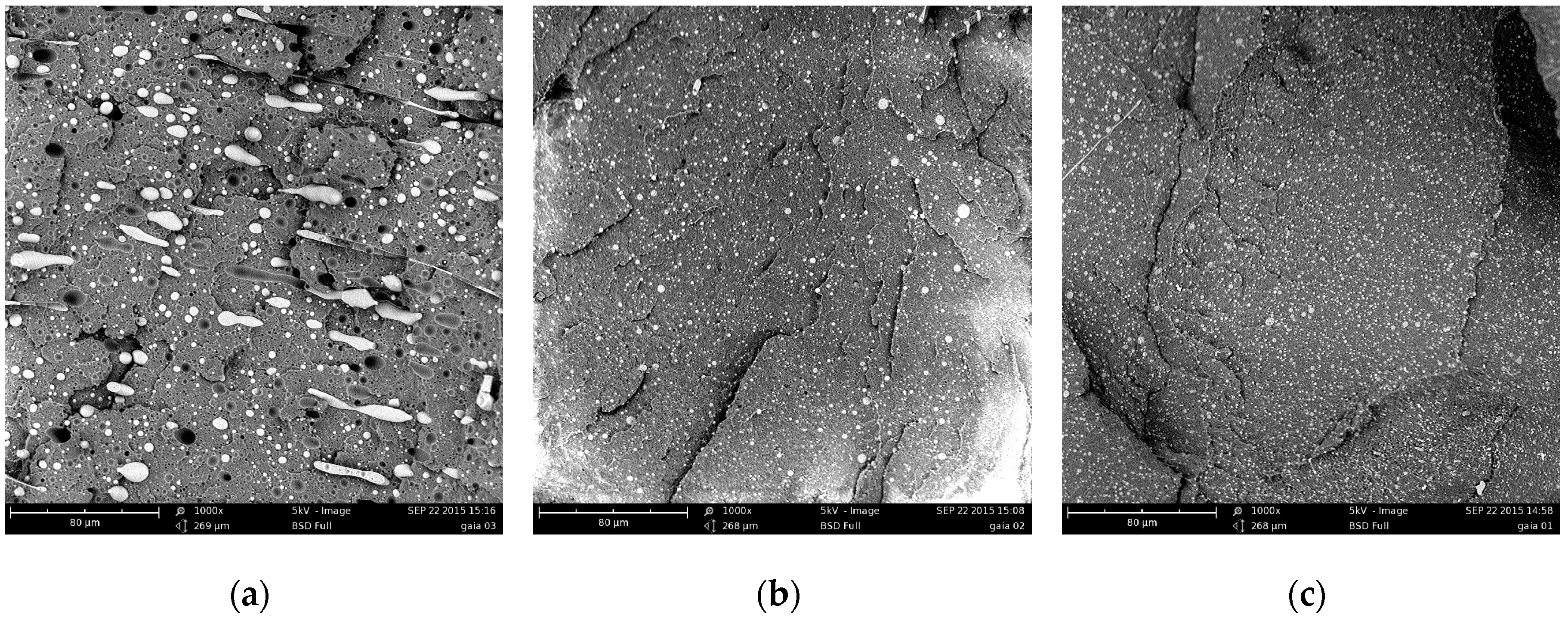 Polymers 09 00047 g003 550
