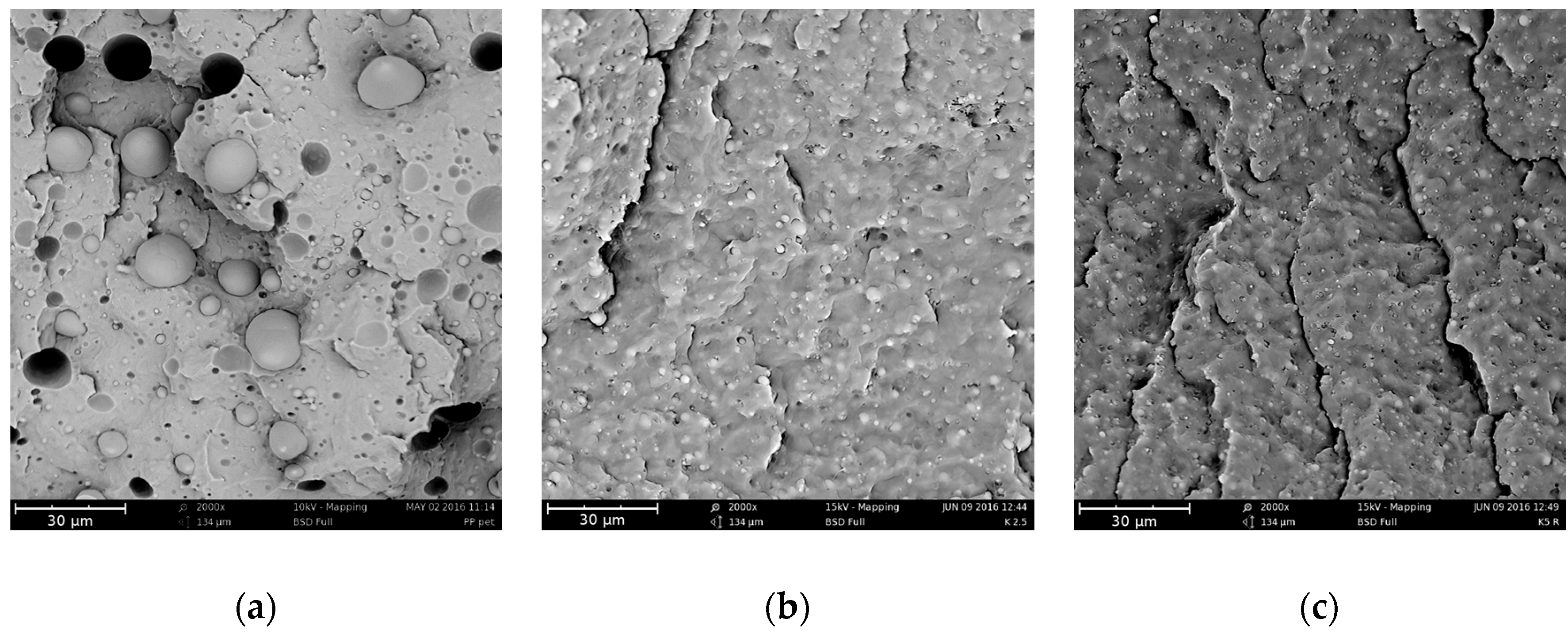 Polymers 09 00047 g007 550