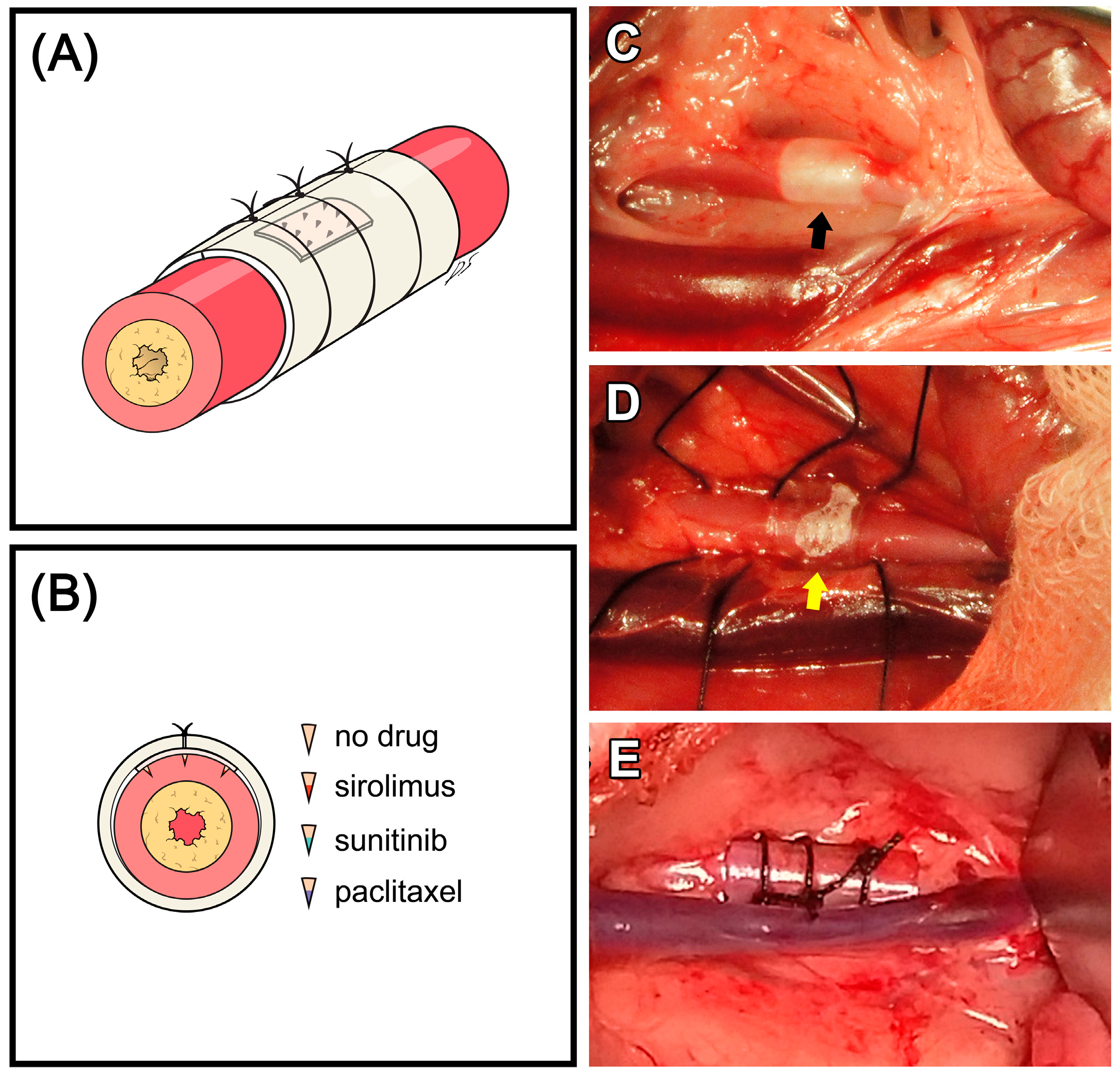 Polymers 09 00056 g002 550