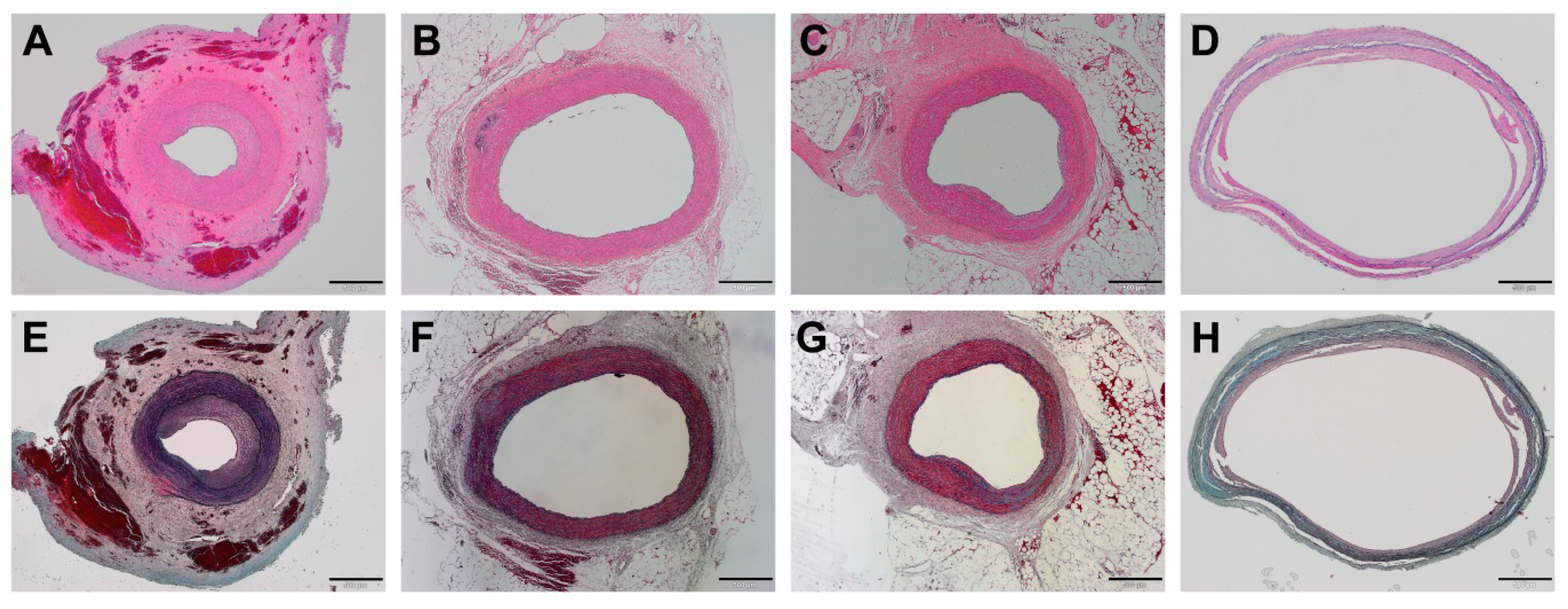 Polymers 09 00056 g005 550