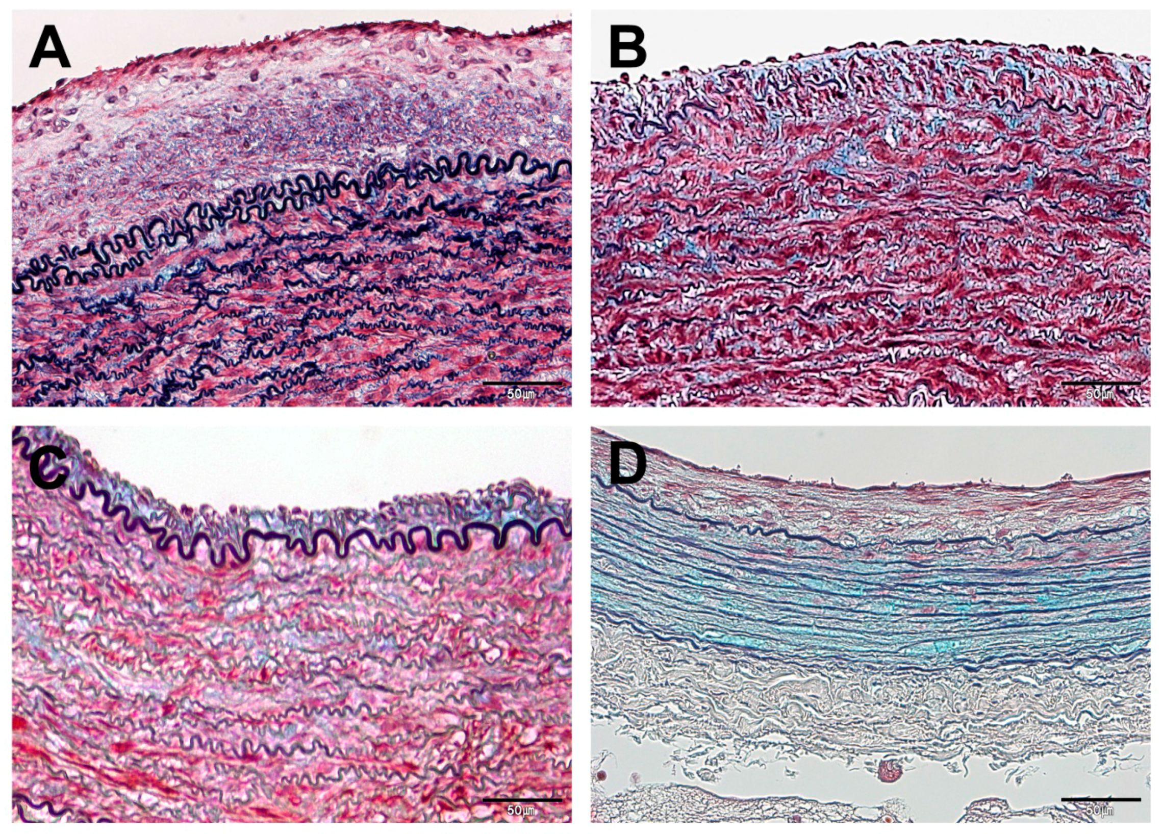 Polymers 09 00056 g006 550