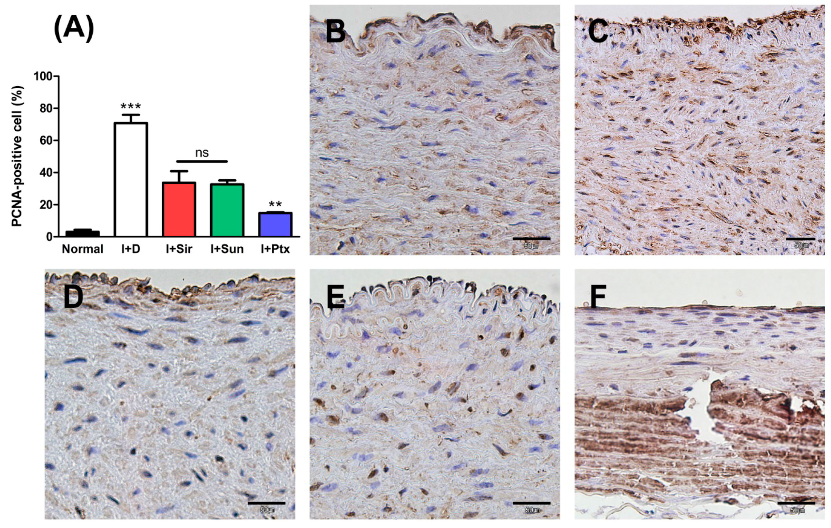 Polymers 09 00056 g007 550