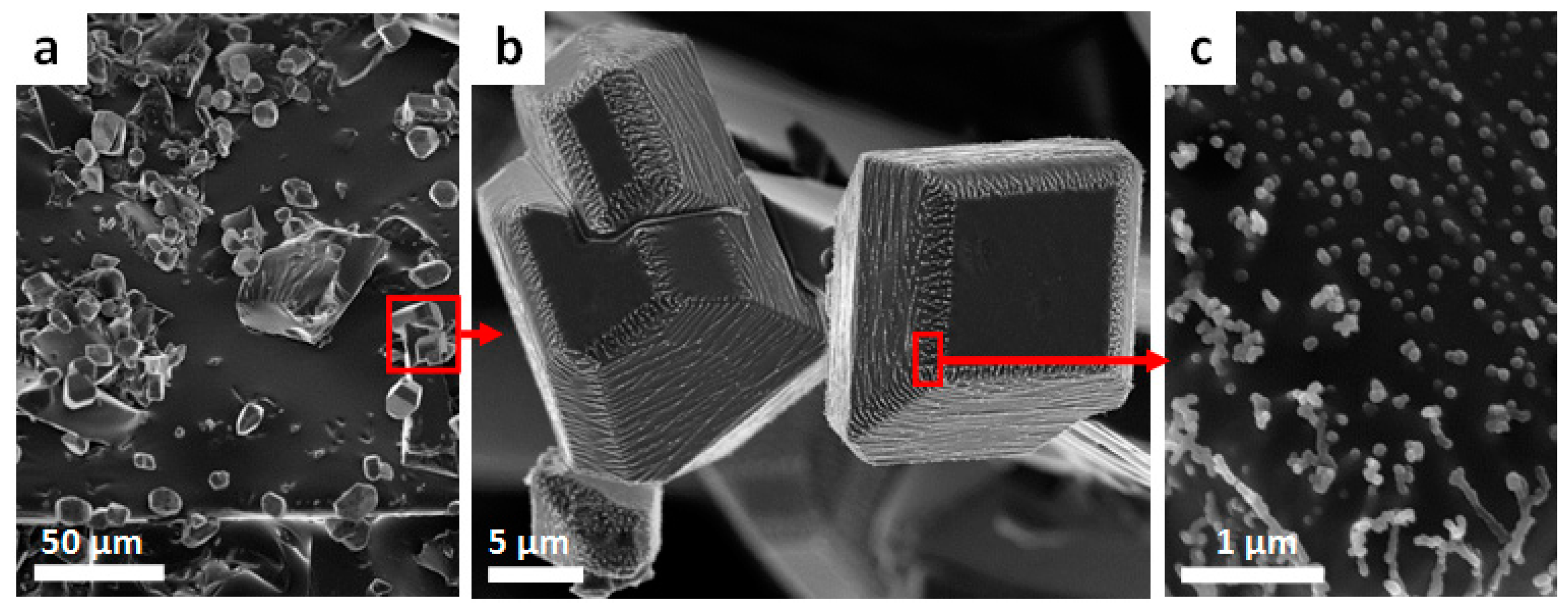 Polymers 09 00059 g003 550