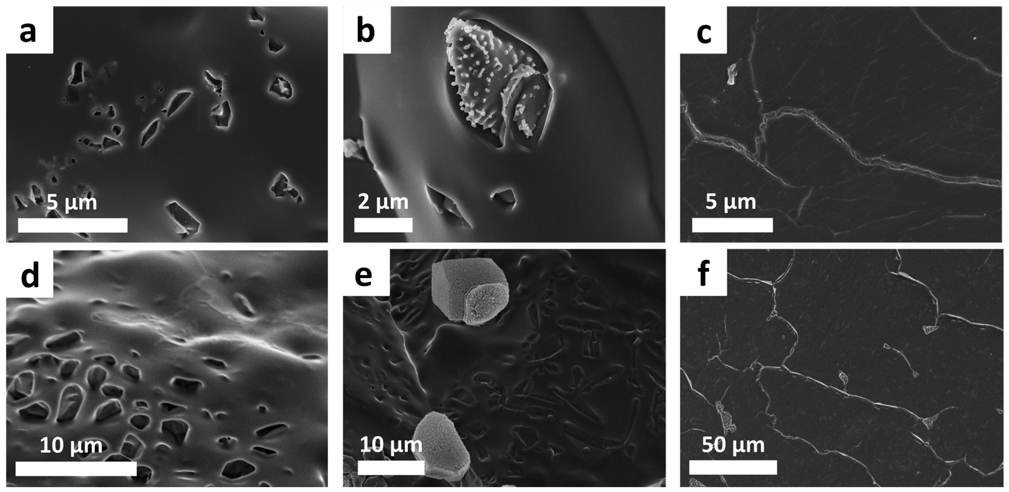 Polymers 09 00059 g004 550