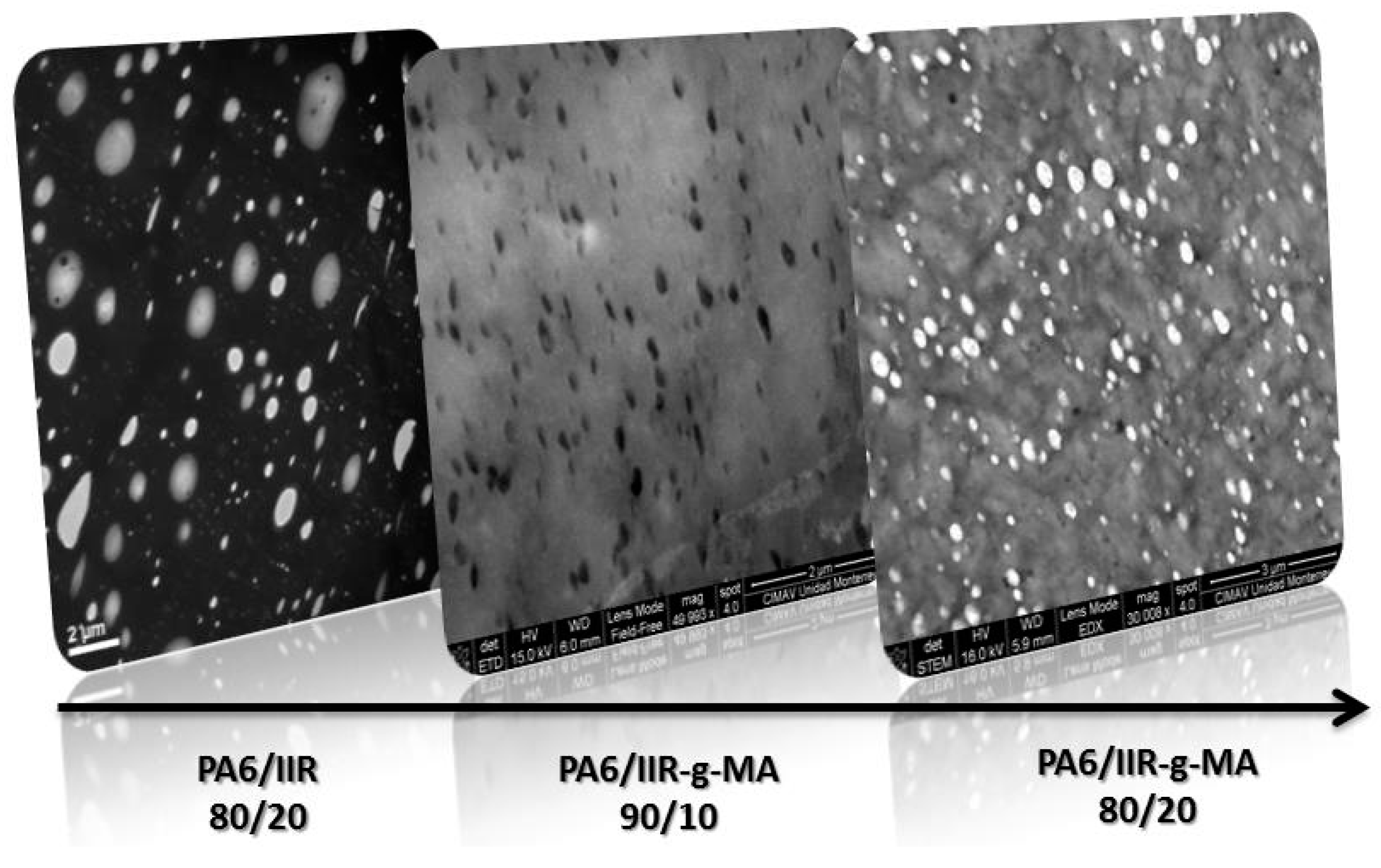 Polymers 09 00063 g006