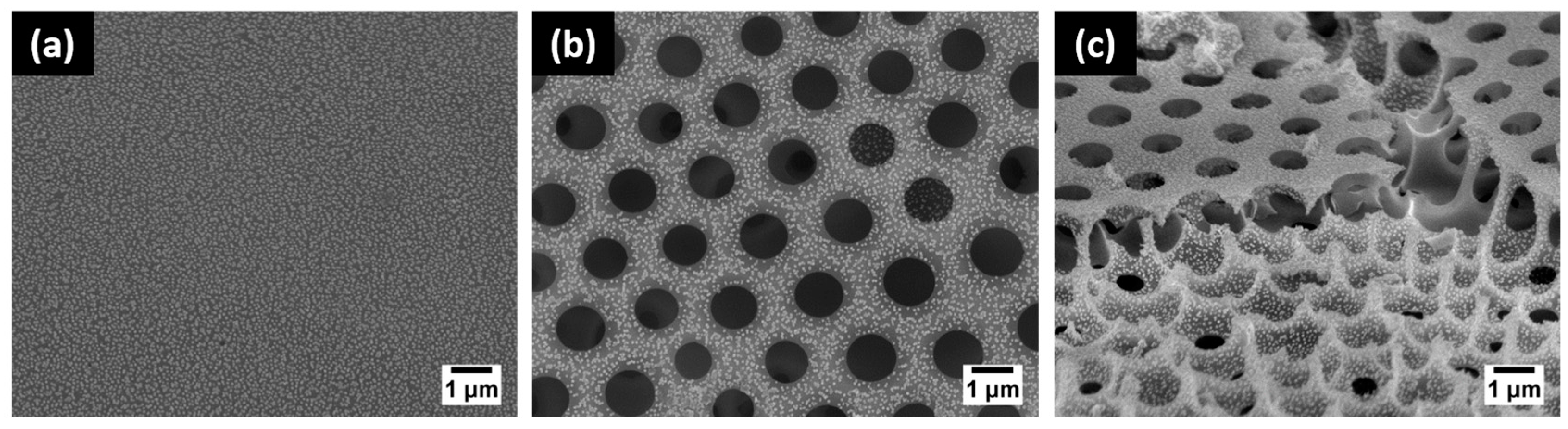 Polymers 09 00093 g005