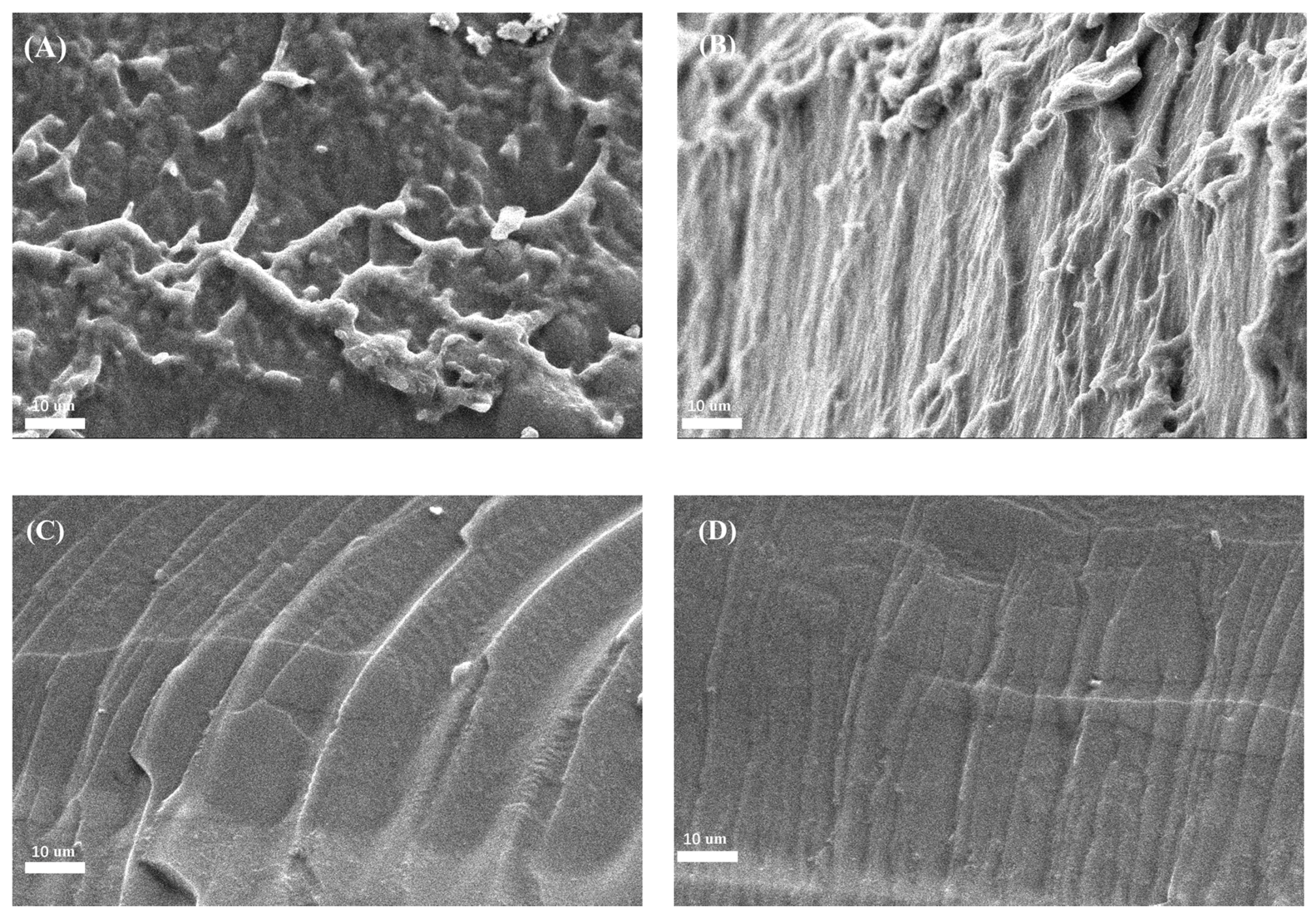 Polymers 09 00095 g004 550