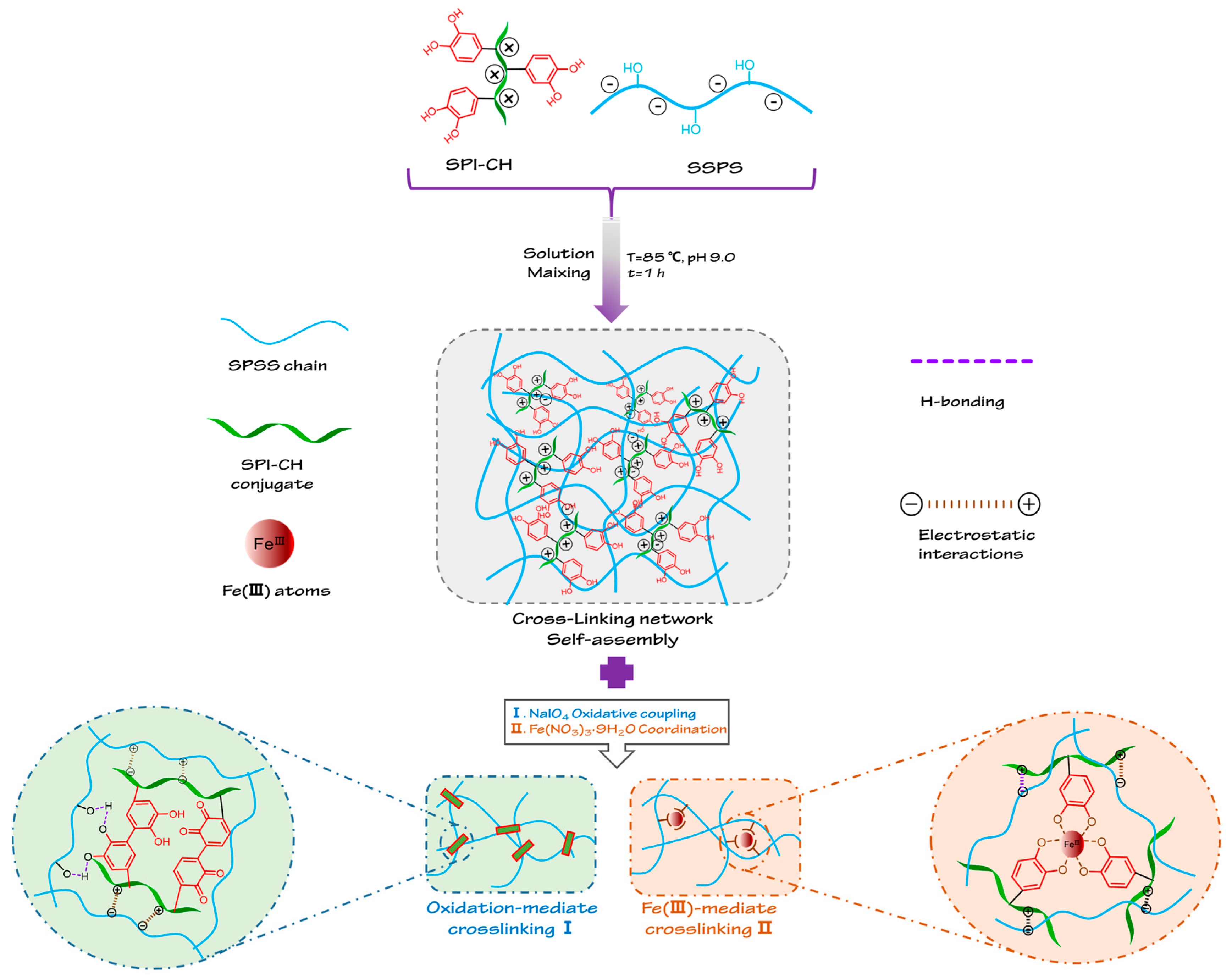 Polymers Free FullText Improvement of Interfacial Adhesion by Bio