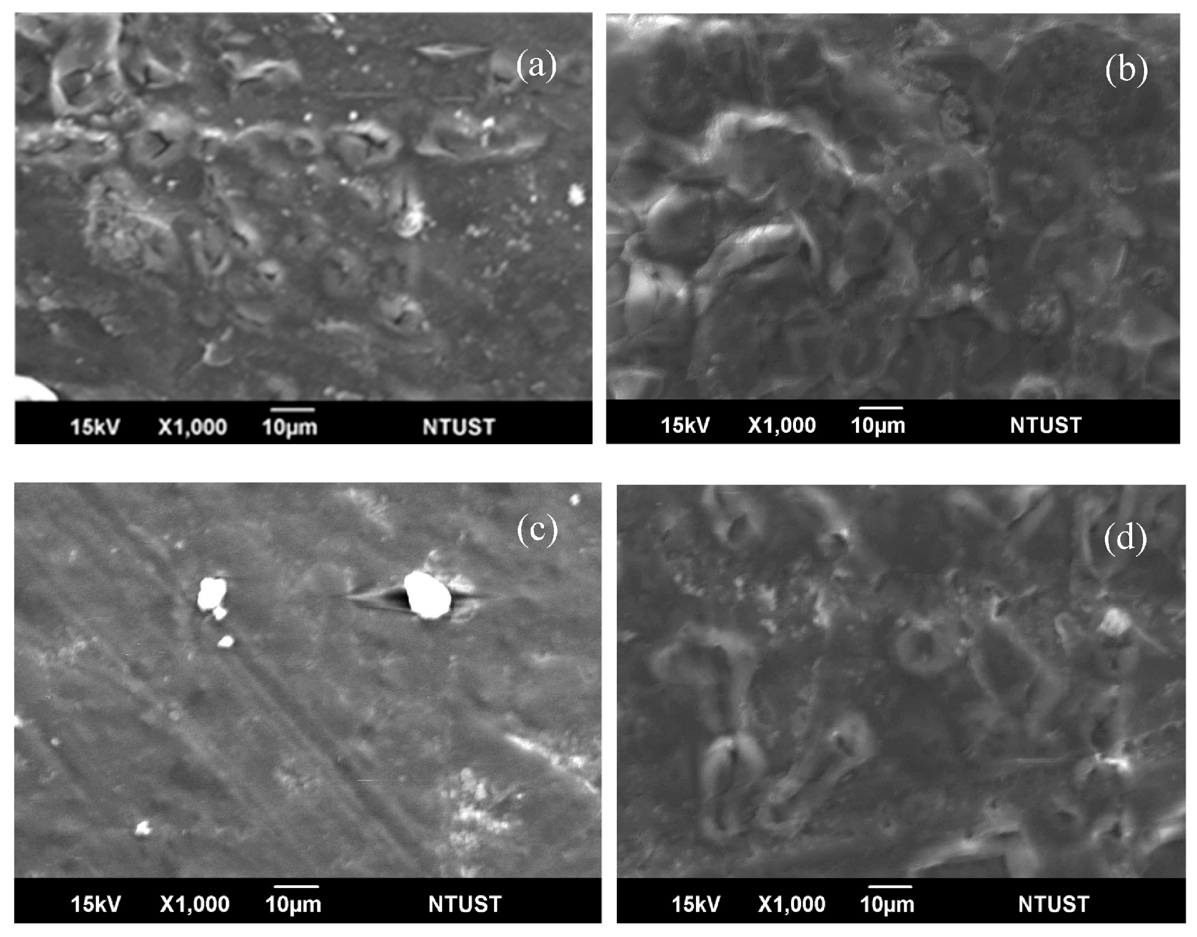 Polymers 09 00100 g010 550