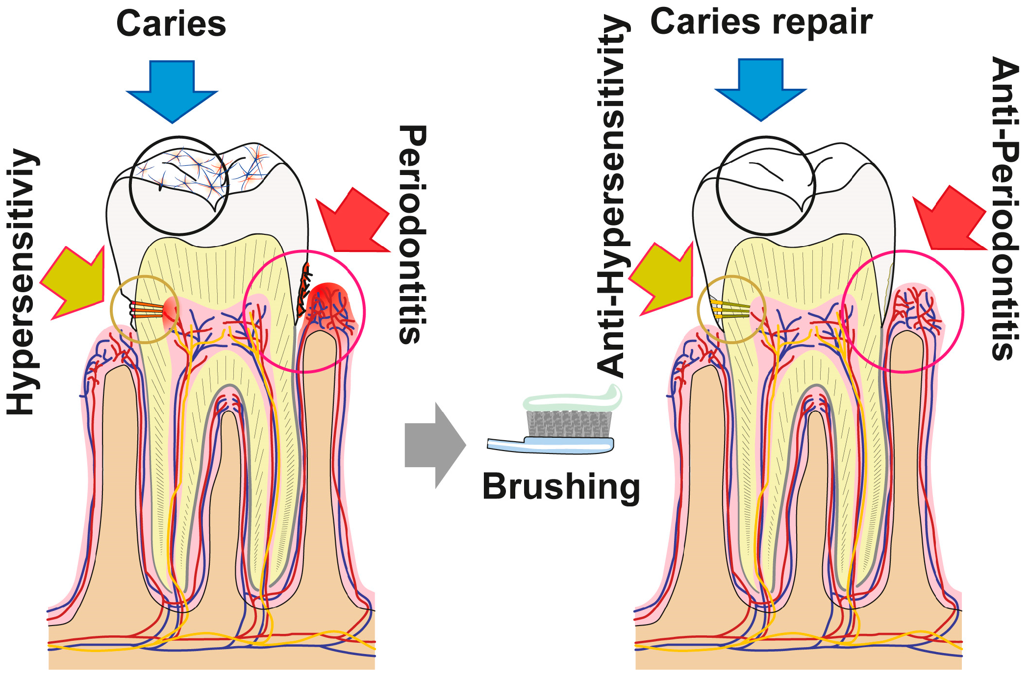Polymers 09 00120 g016