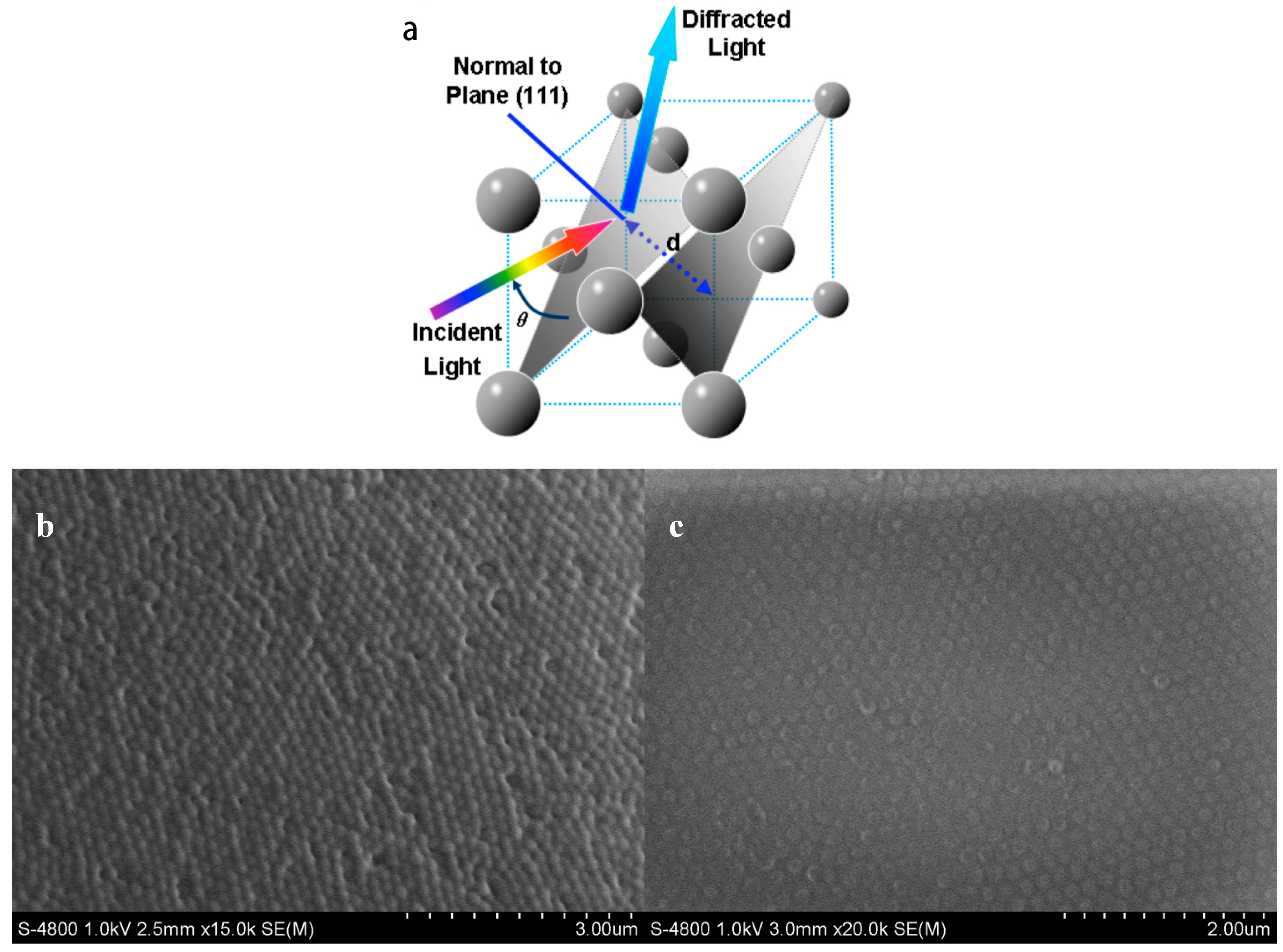 | Gelated Free ... Crystal A Full-Text Colloidal Polymers | Crystal A Colloidal | Free ... | Gelated Polymers Full-Text