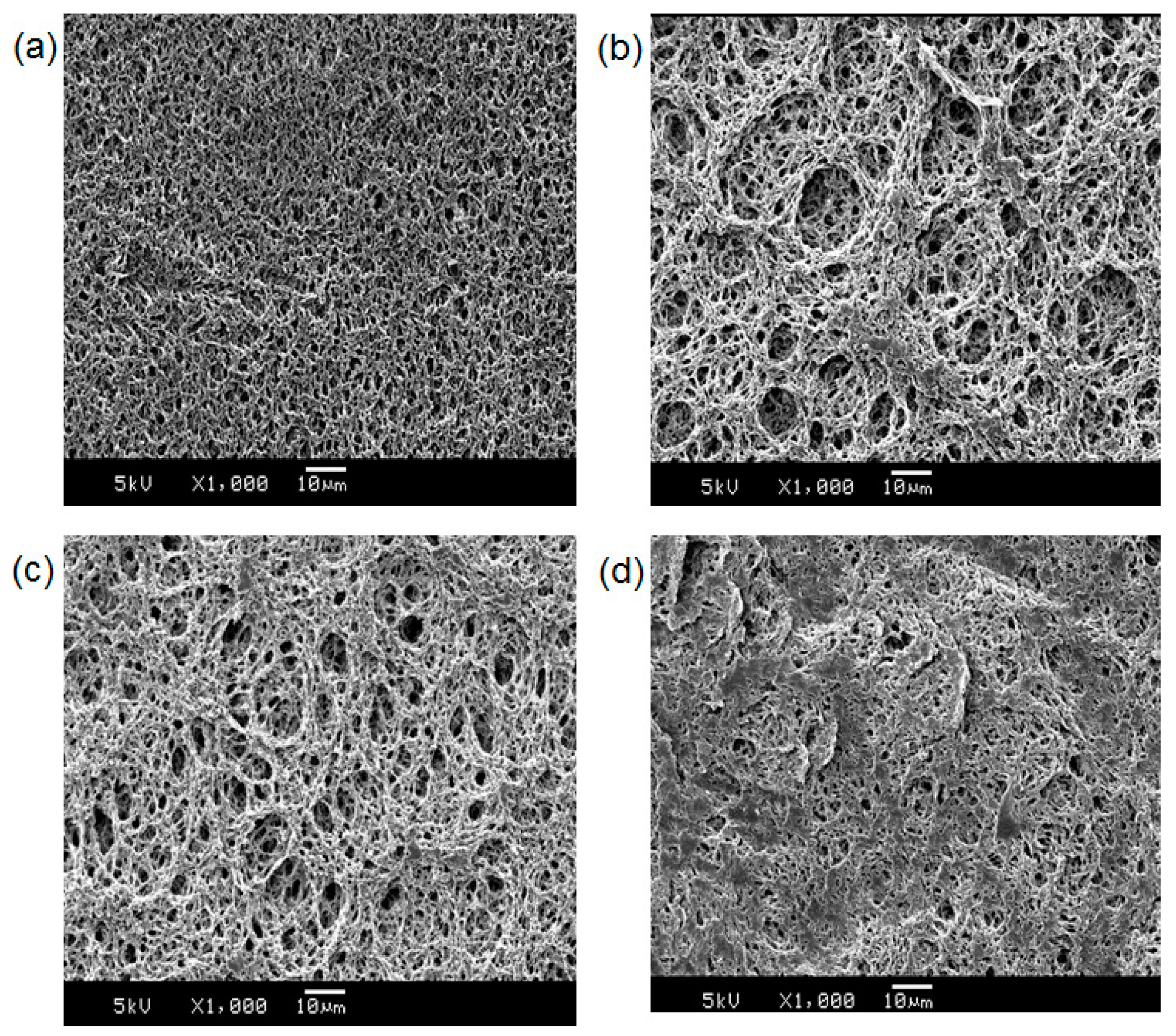 Polymers 09 00127 g006