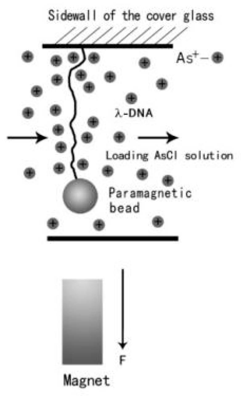 Polymers 09 00128 g001