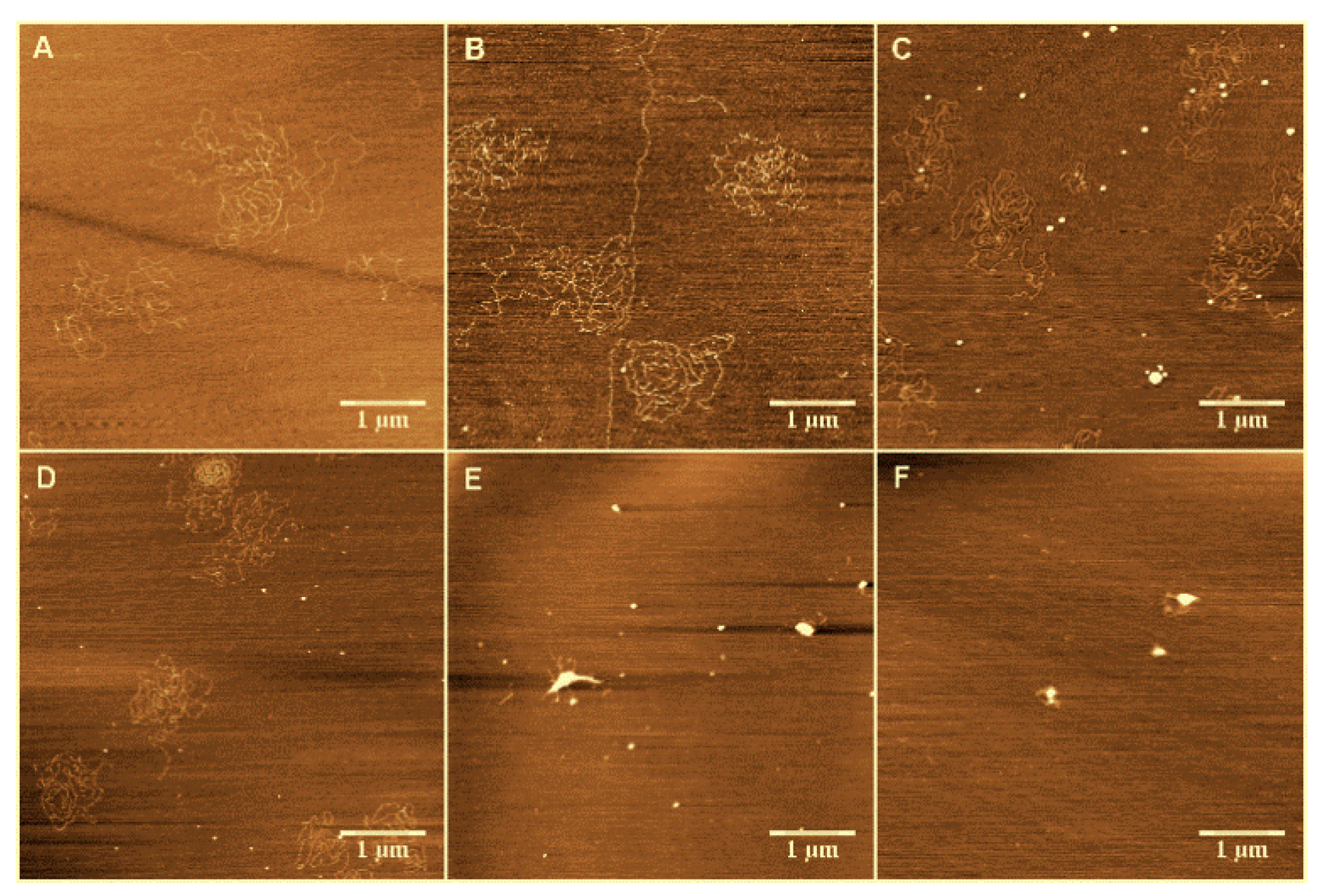 Polymers 09 00128 g002