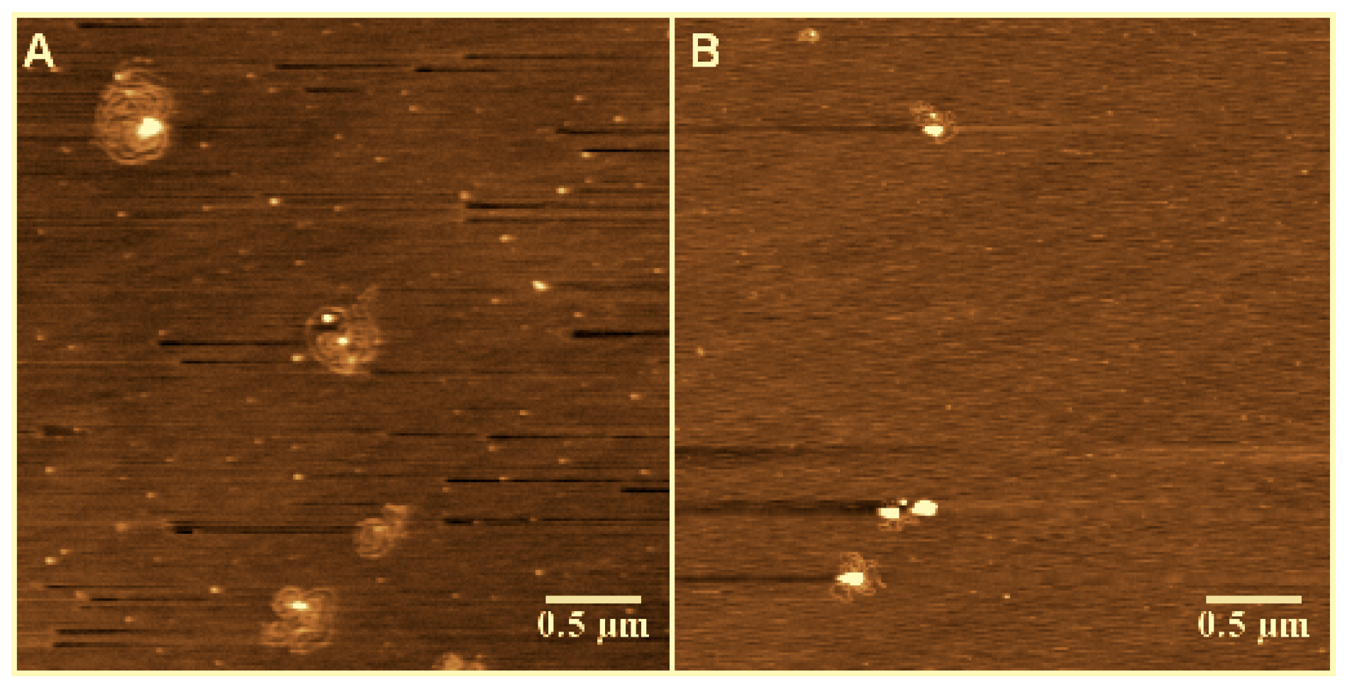 Polymers 09 00128 g004