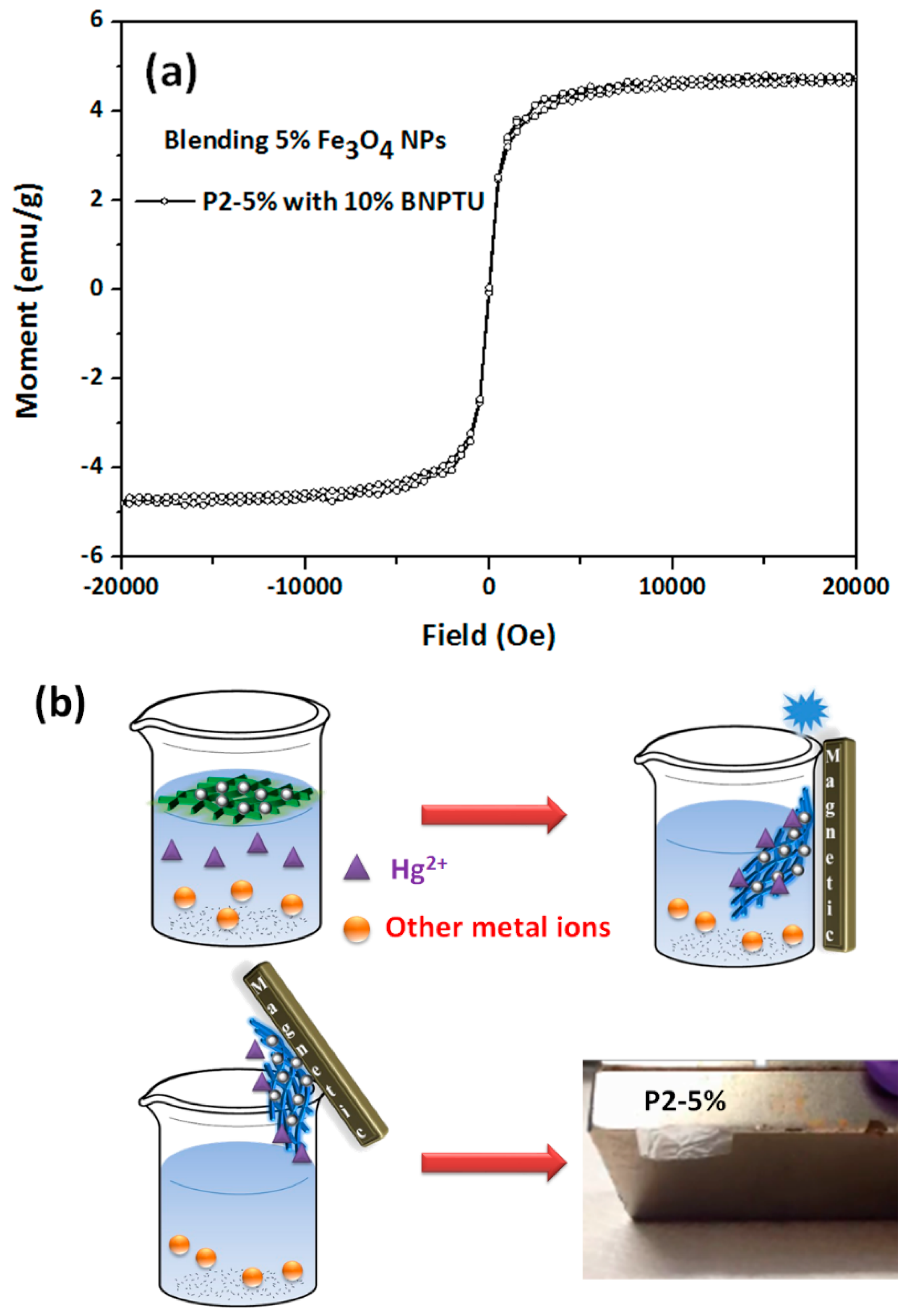 Polymers Free Full Text Novel Magnet And Thermoresponsive Chemosensory Electrospinning Fluorescent Nanofibers And Their Sensing Capability For Metal Ions Html Polymers Free Full Text Novel Magnet And Thermoresponsive Chemosensory Electrospinning Fluorescent Nanofibers And Their Sensing Capability For Metal Ions Html