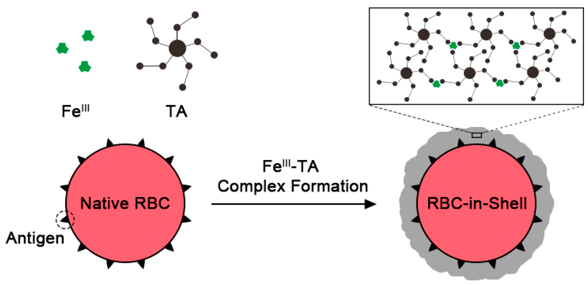 Polymers 09 00140 g001