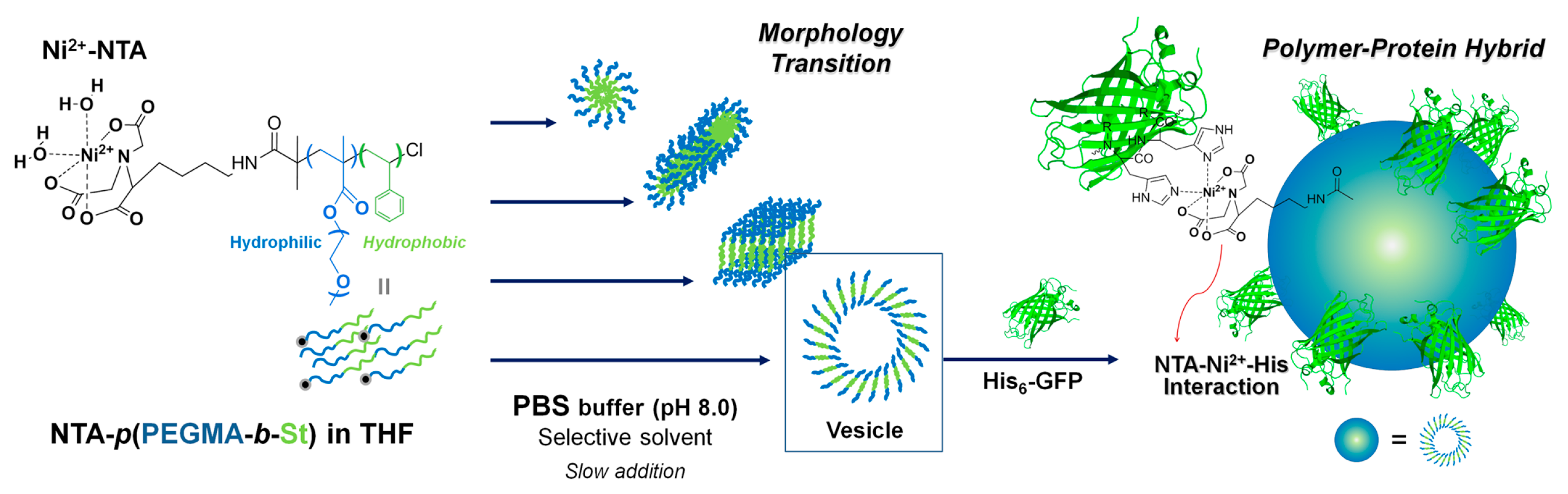 Polymers 09 00144 sch001 550