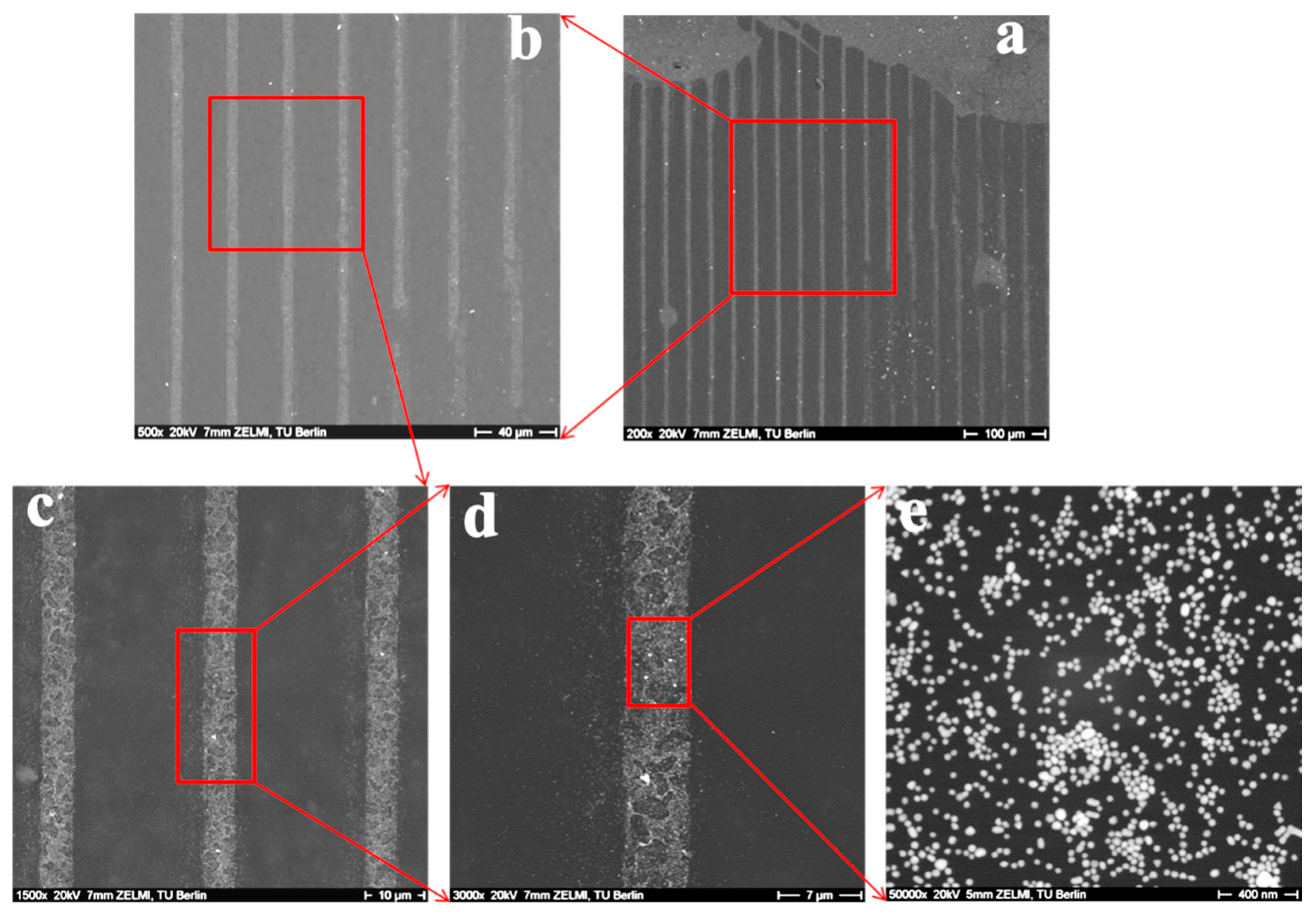 Polymers 09 00154 g007