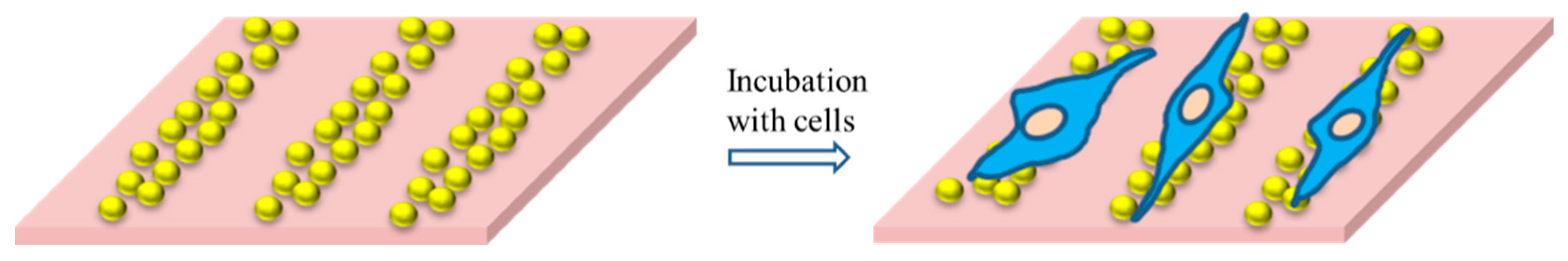 Polymers 09 00154 g008