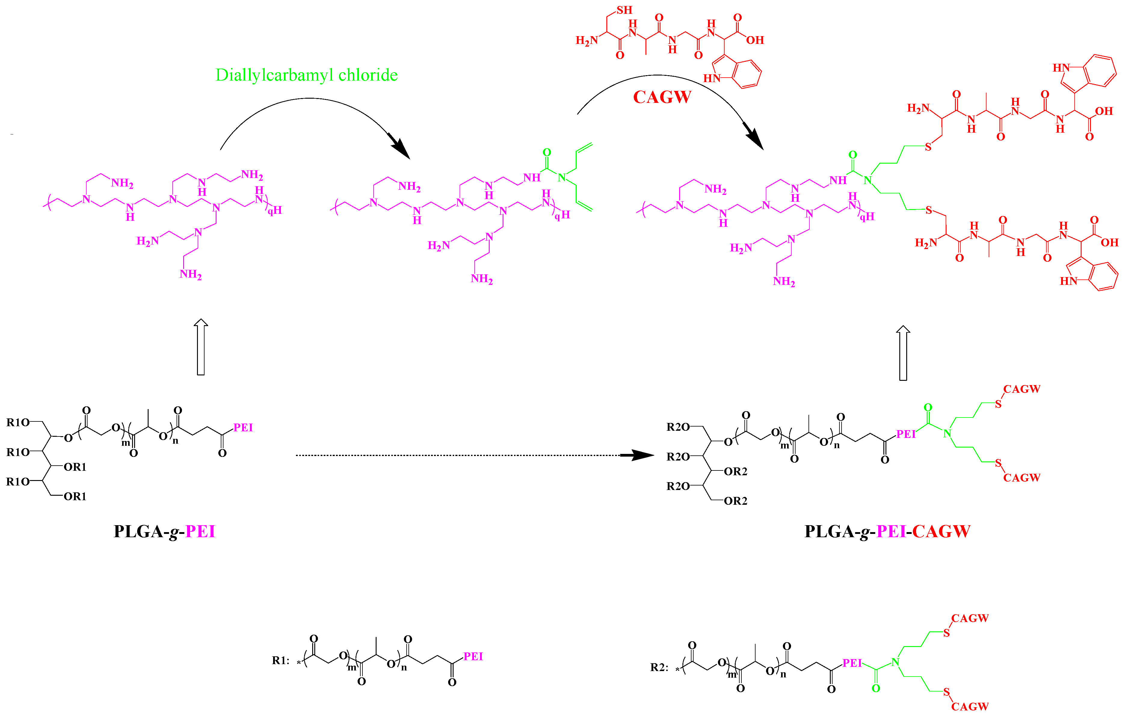 Polymers 09 00158 sch002