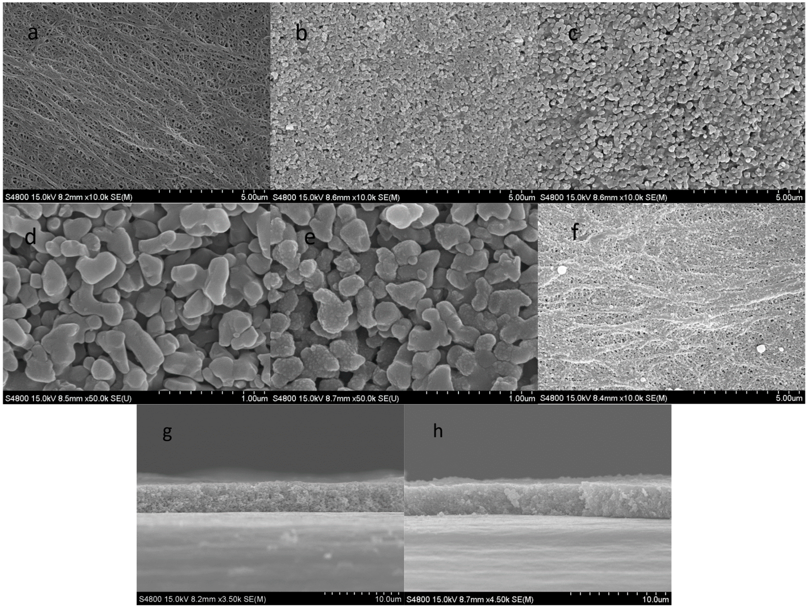 Polymers 09 00159 g001 550