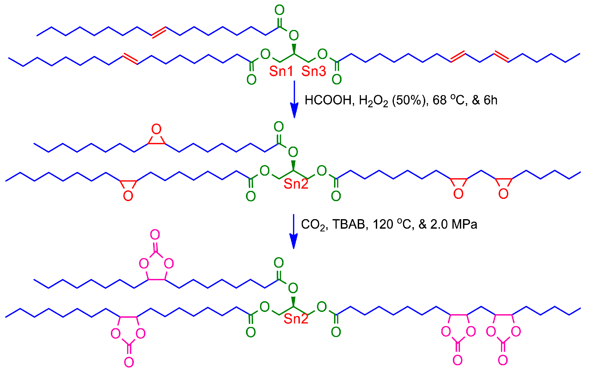 Polymers 09 00162 g001
