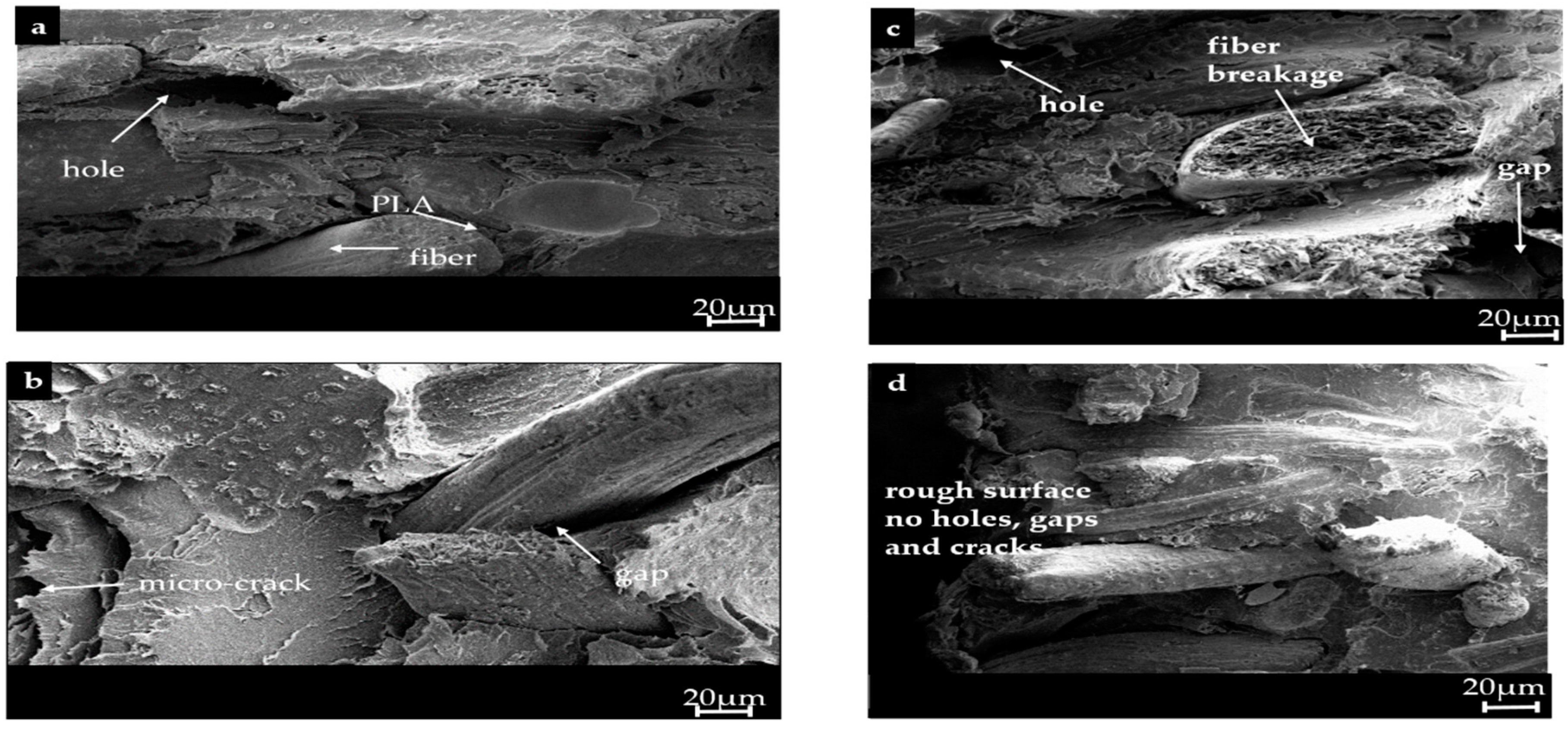 Polymers 09 00165 g005