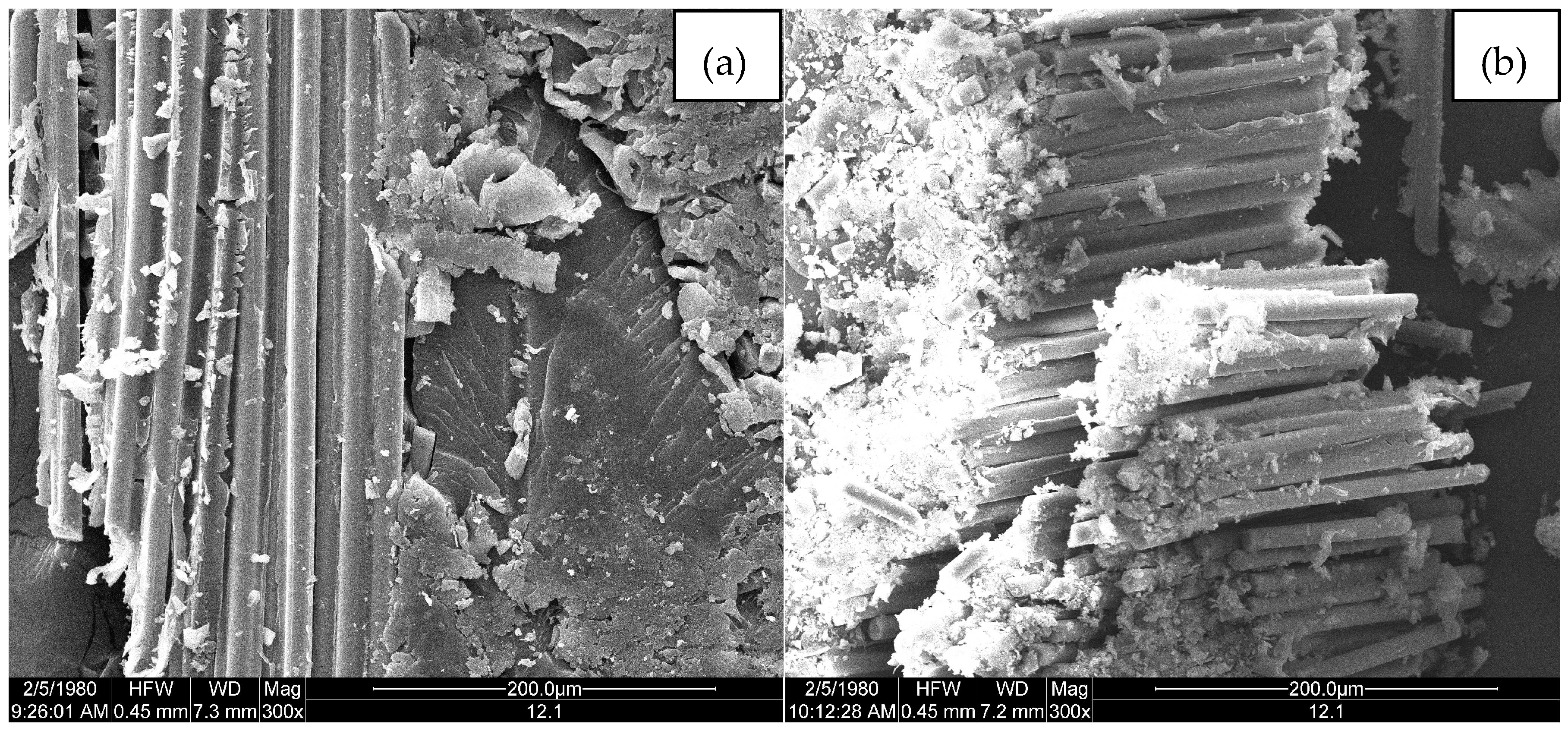 Polymers 09 00170 g013