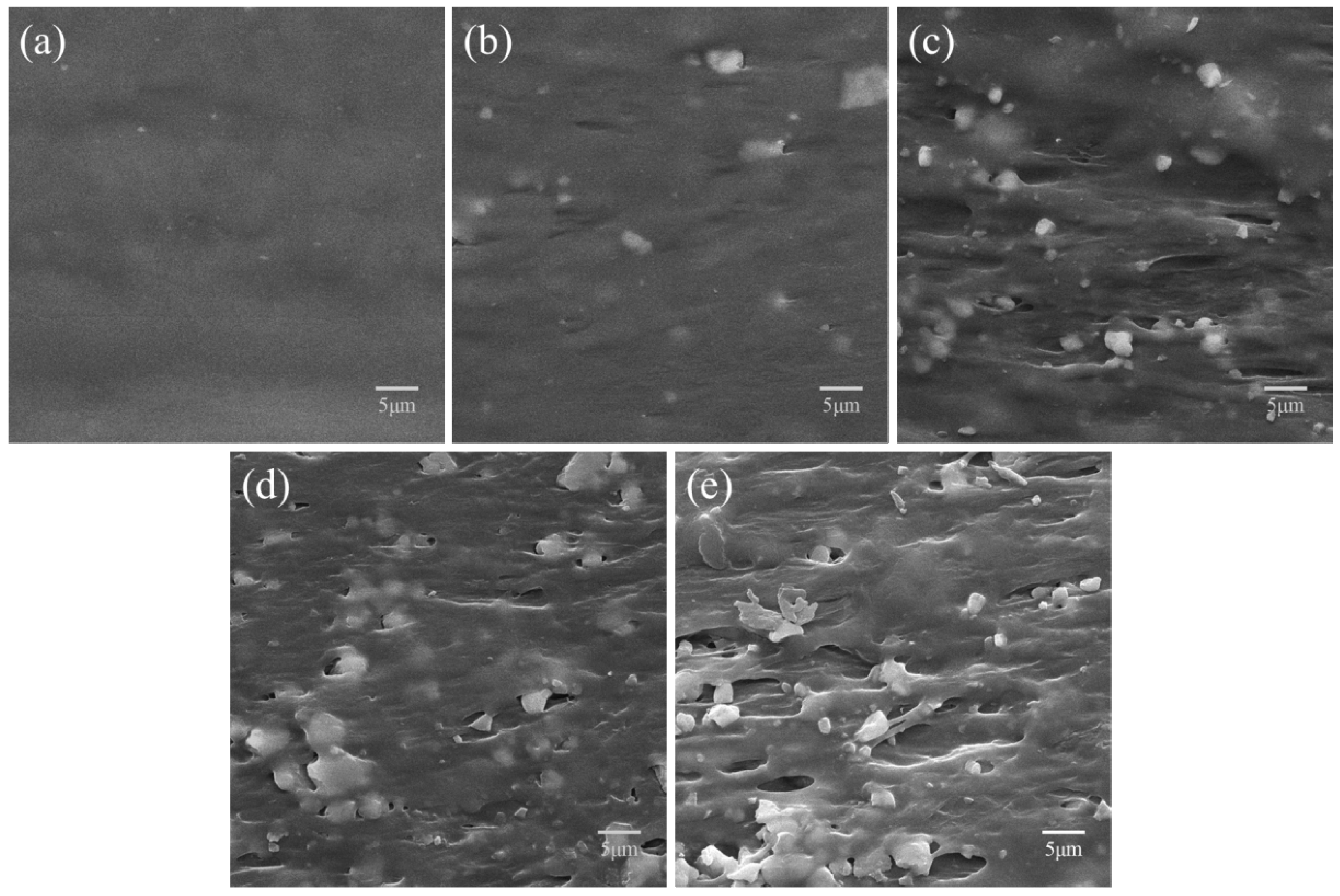 Polymers 09 00175 g005 550