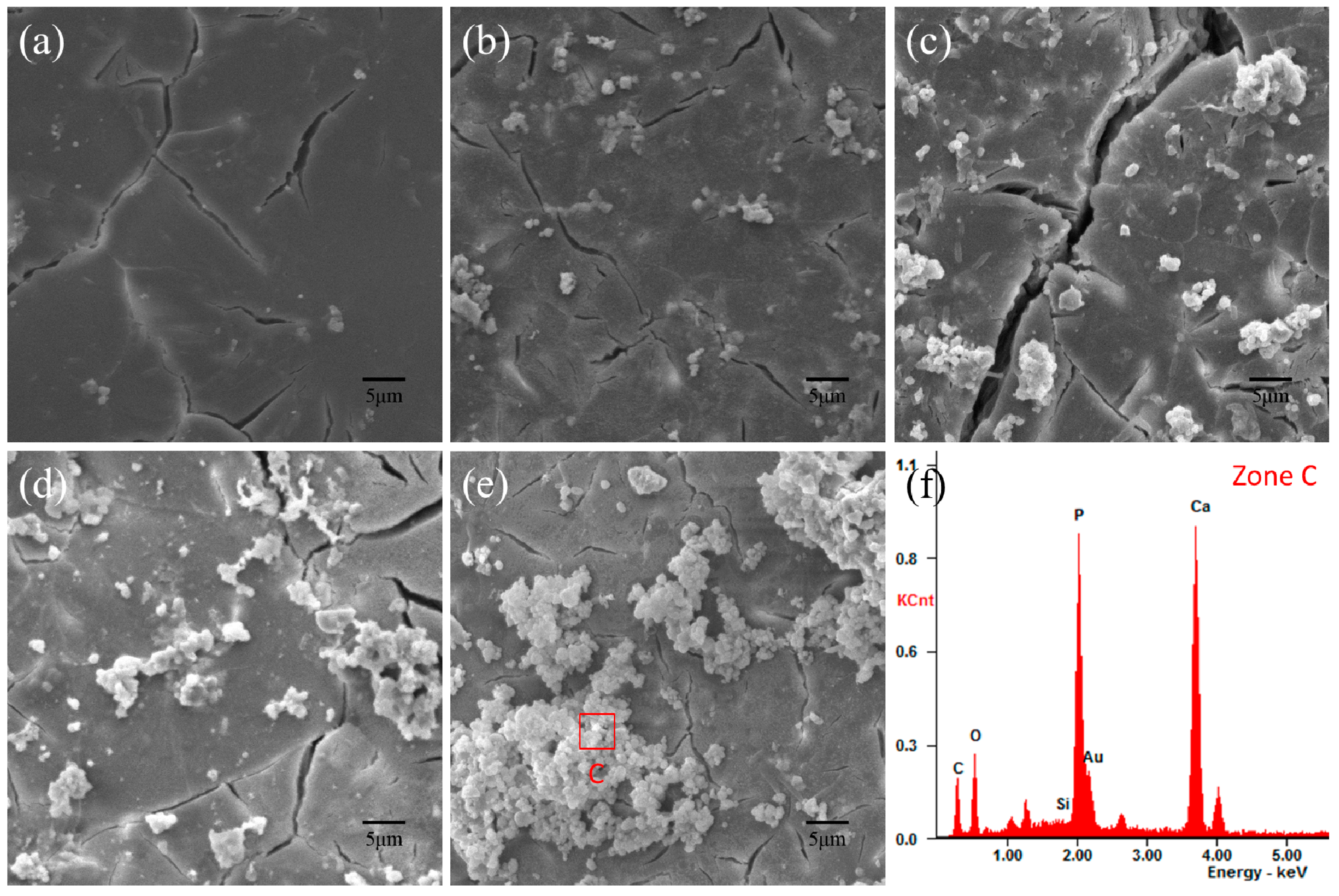 Polymers 09 00175 g007 550