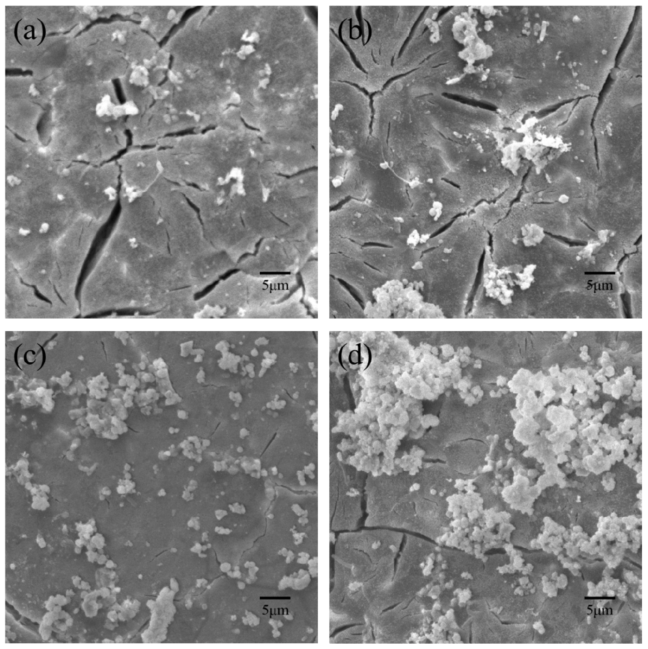 Polymers 09 00175 g008 550