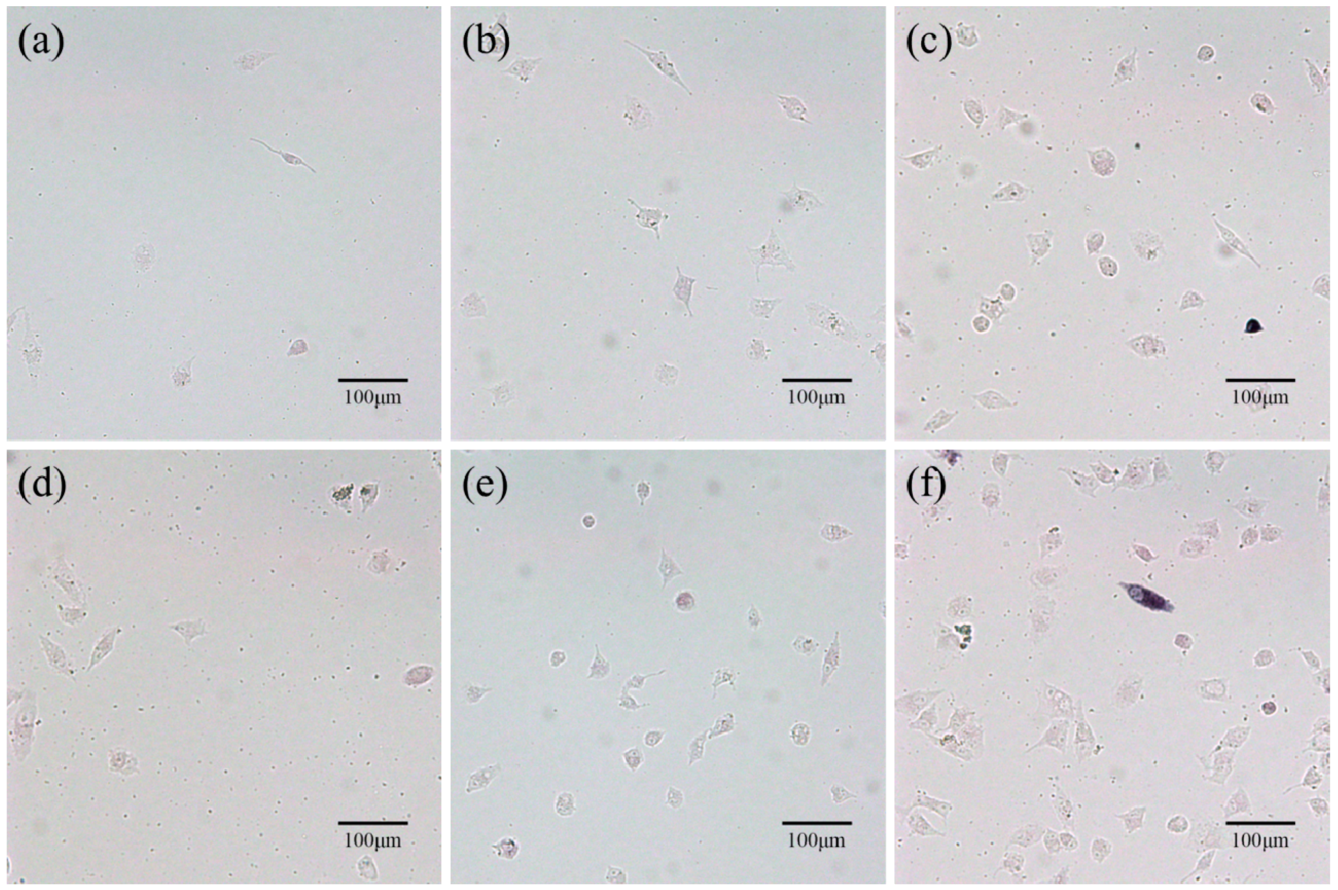 Polymers 09 00175 g010 550