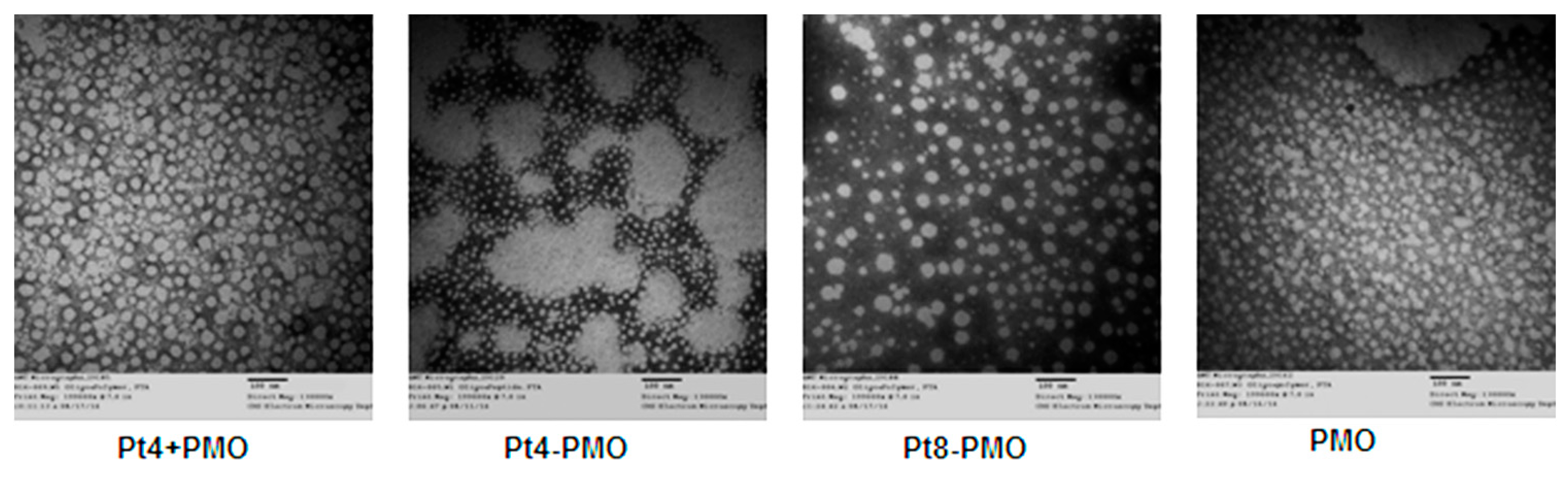 Polymers 09 00177 g006