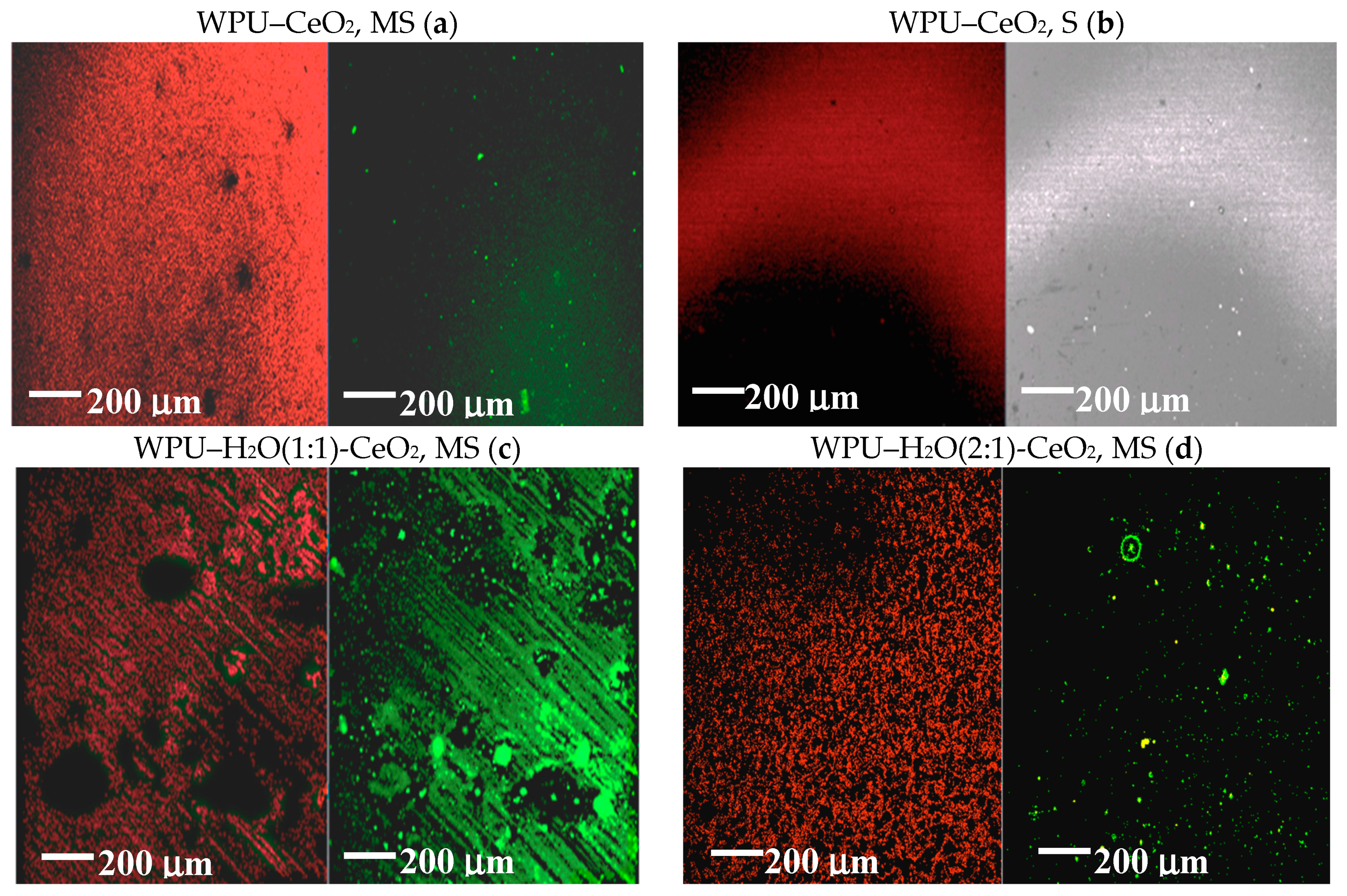 Polymers 09 00178 g003