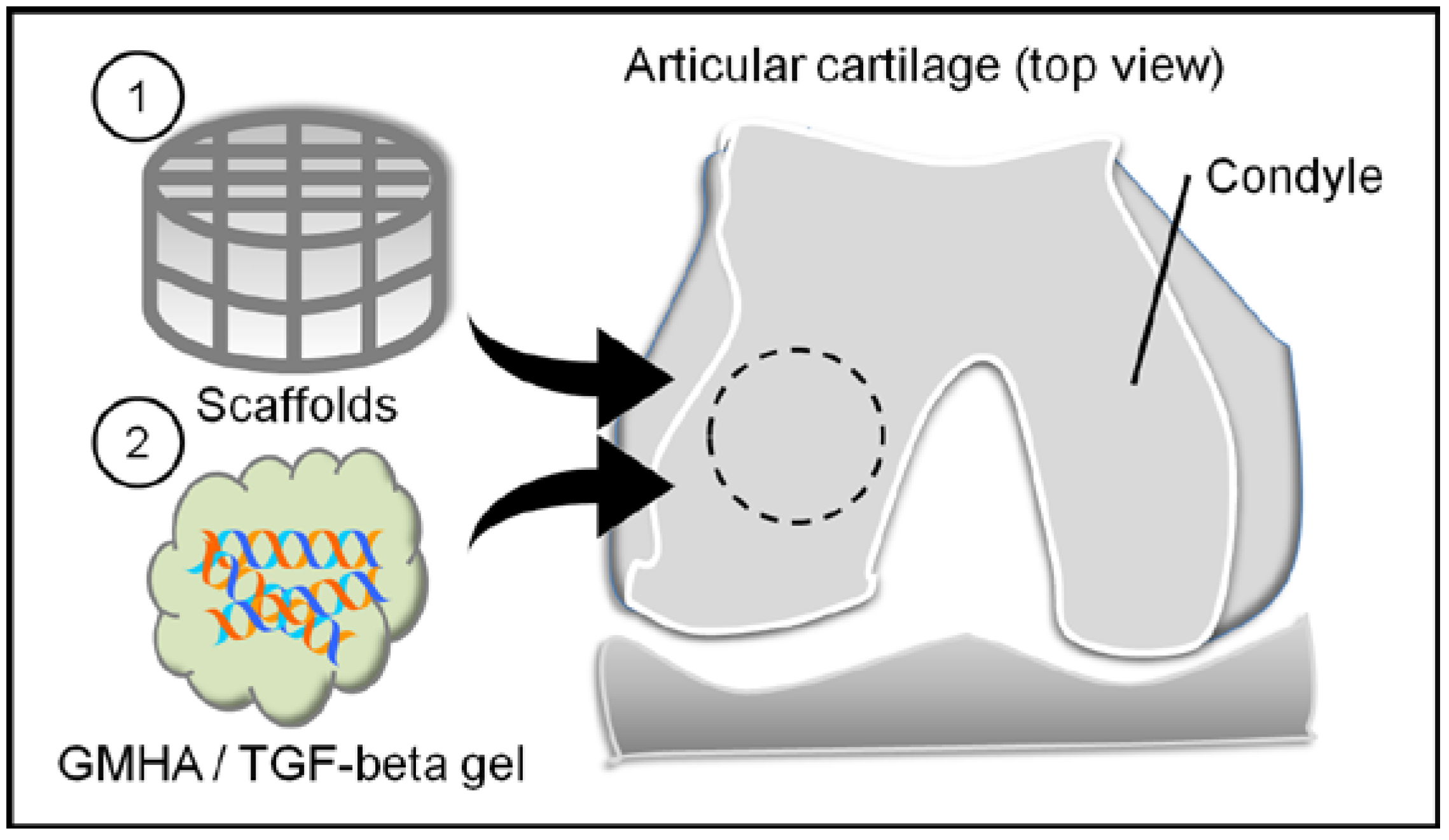Polymers 09 00182 g003