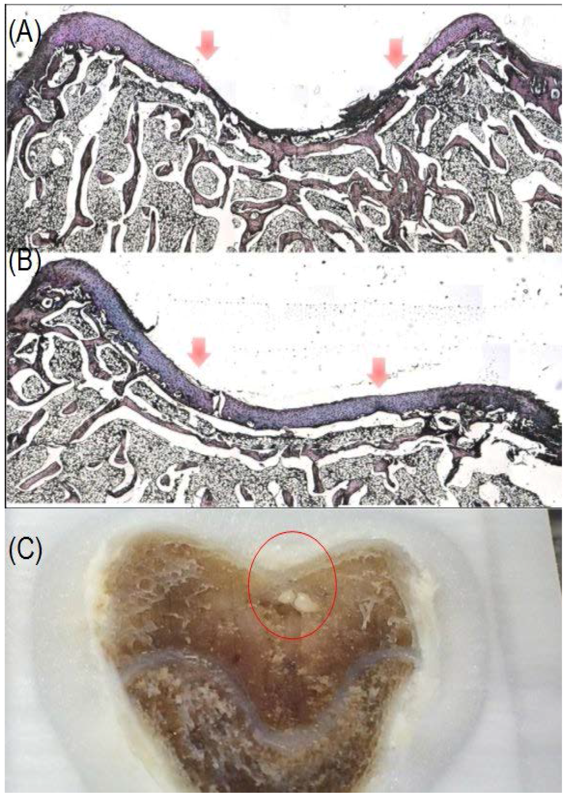 Polymers 09 00182 g012