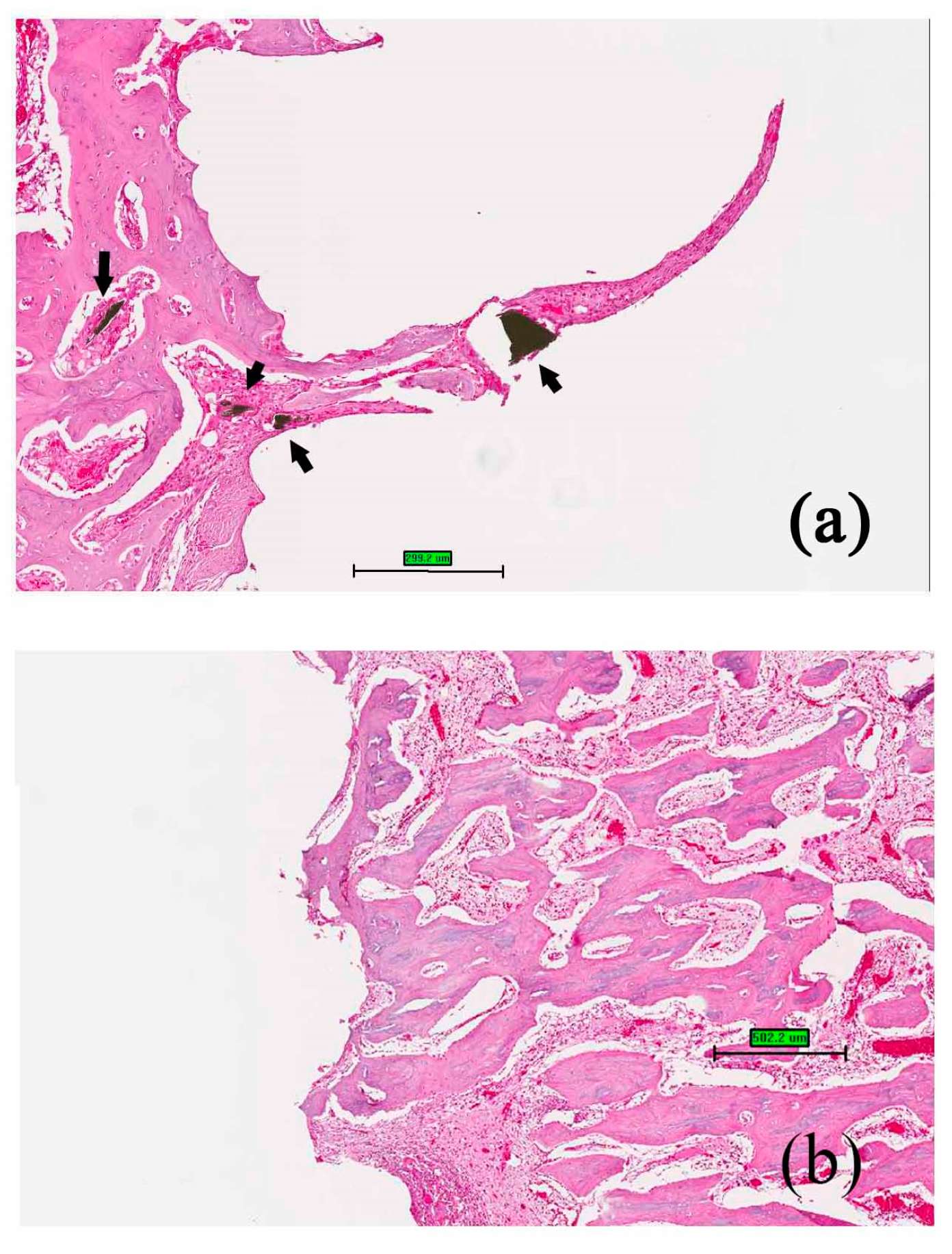 Polymers 09 00191 g007 550