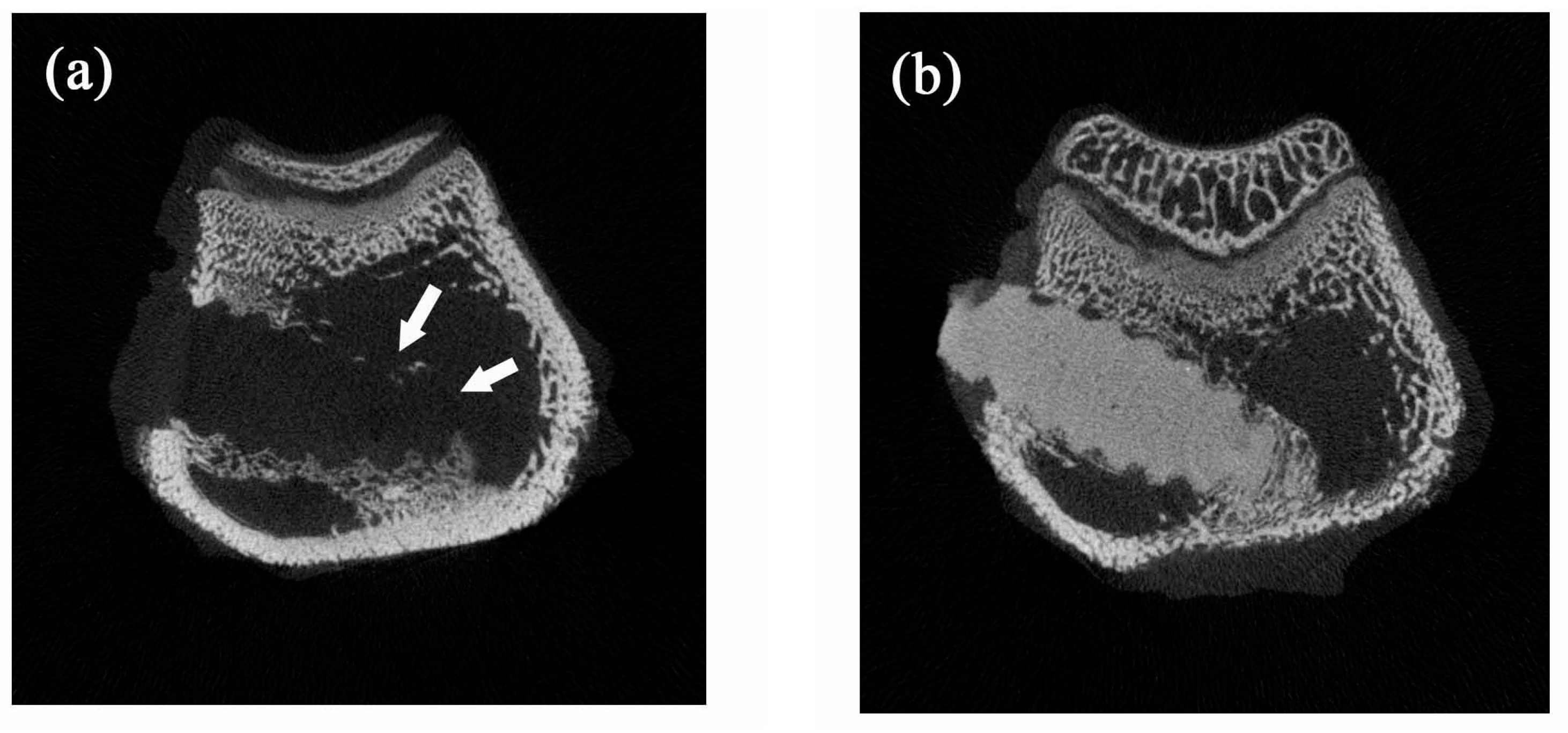 Polymers 09 00191 g008 550
