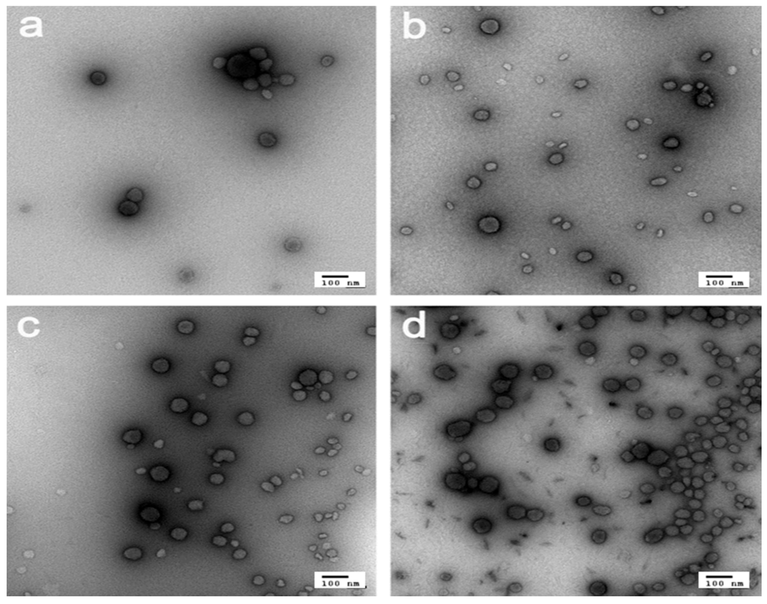 Polymers 09 00197 g002 550